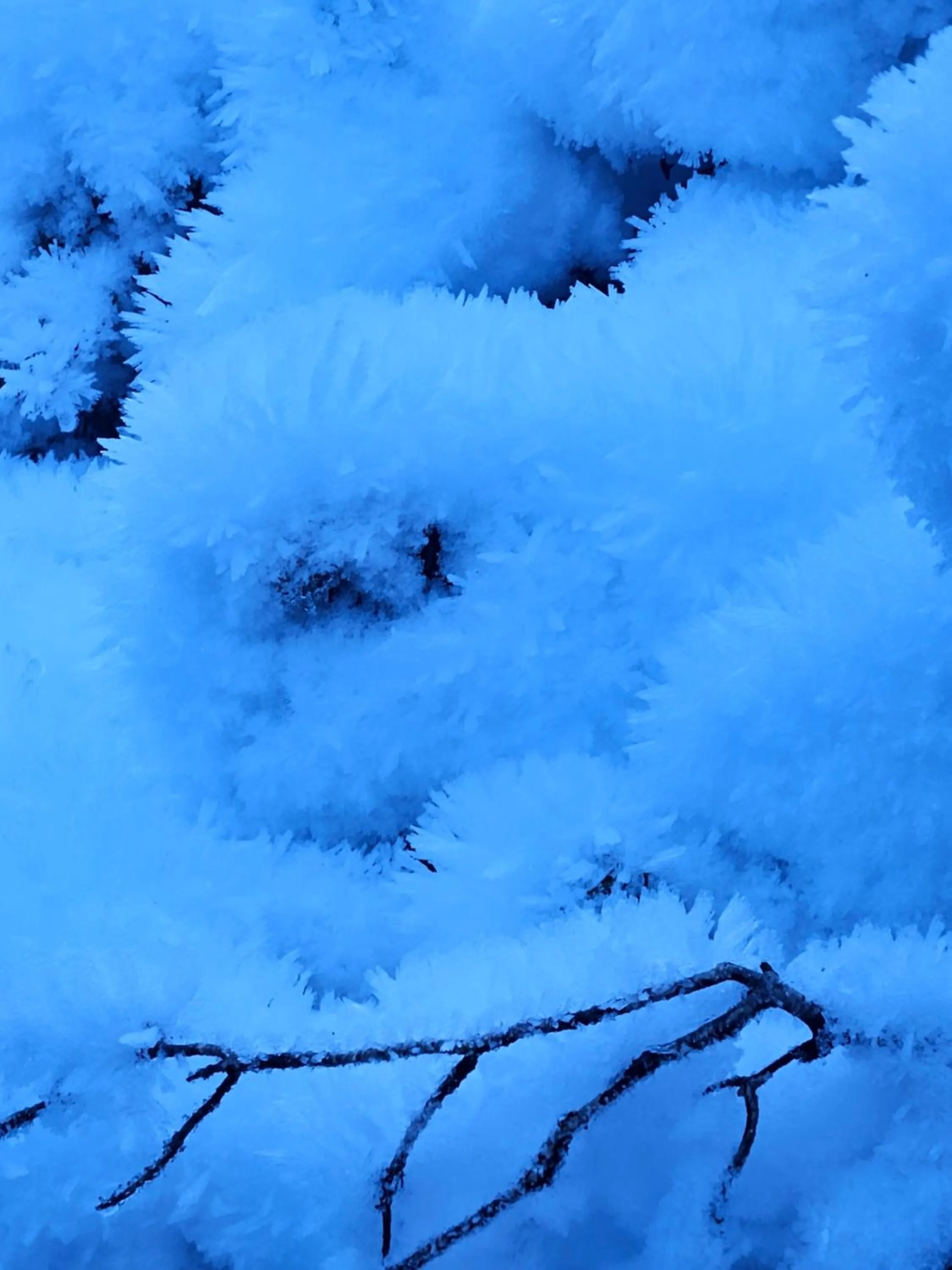 Winter in Cradle Alpine Retreat