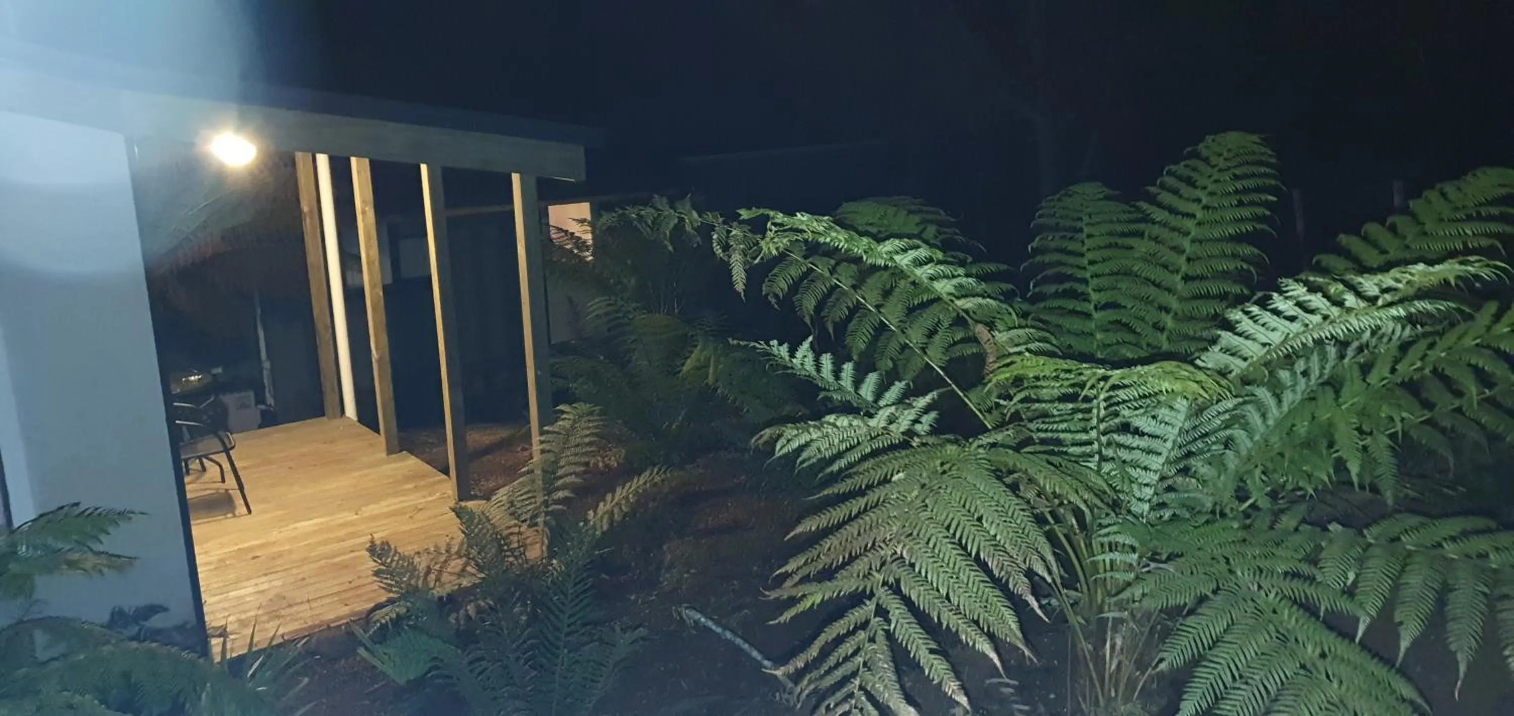 Garden in Cradle Alpine Retreat