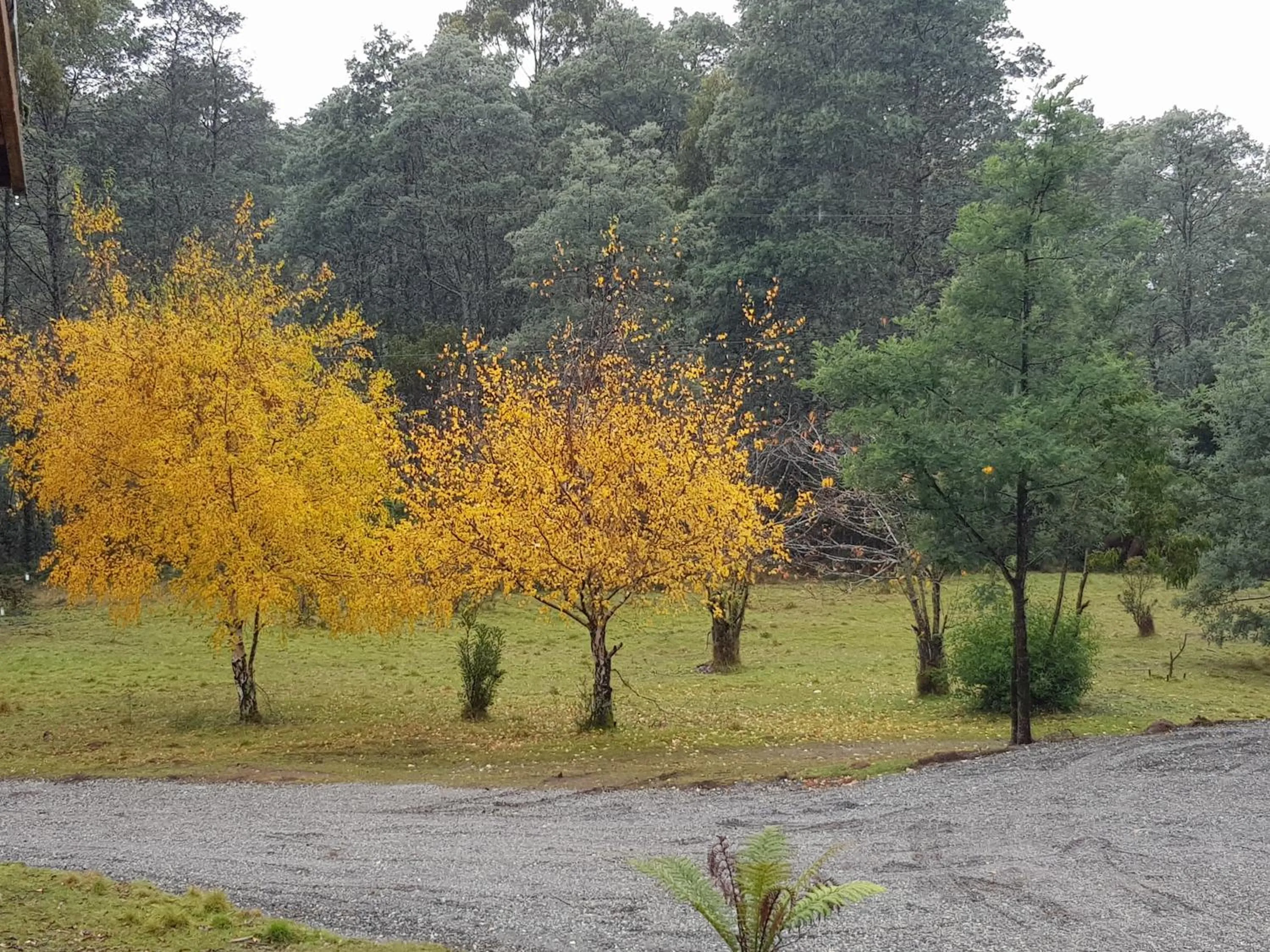Garden in Cradle Alpine Retreat
