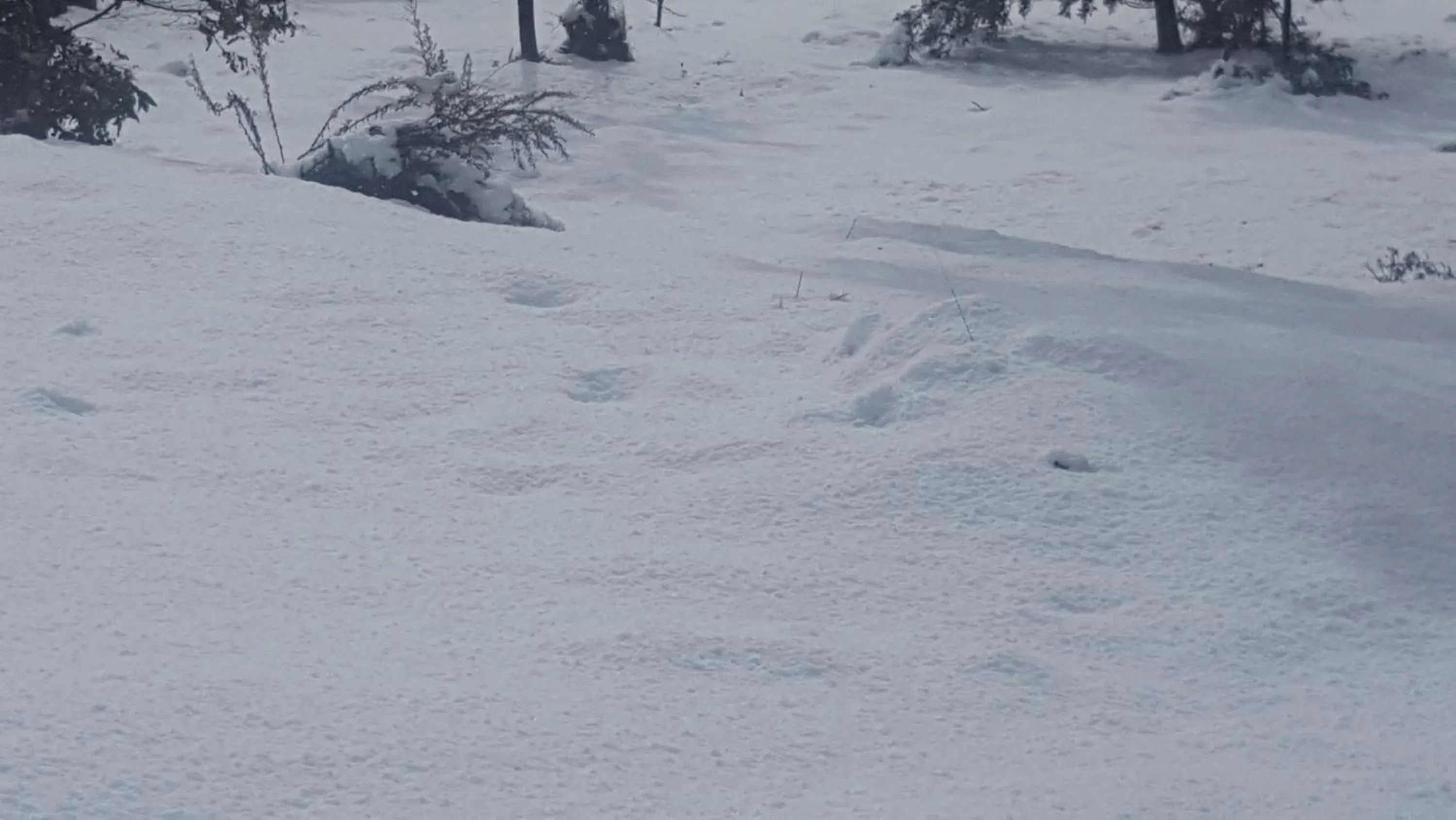 Property building in Cradle Alpine Retreat