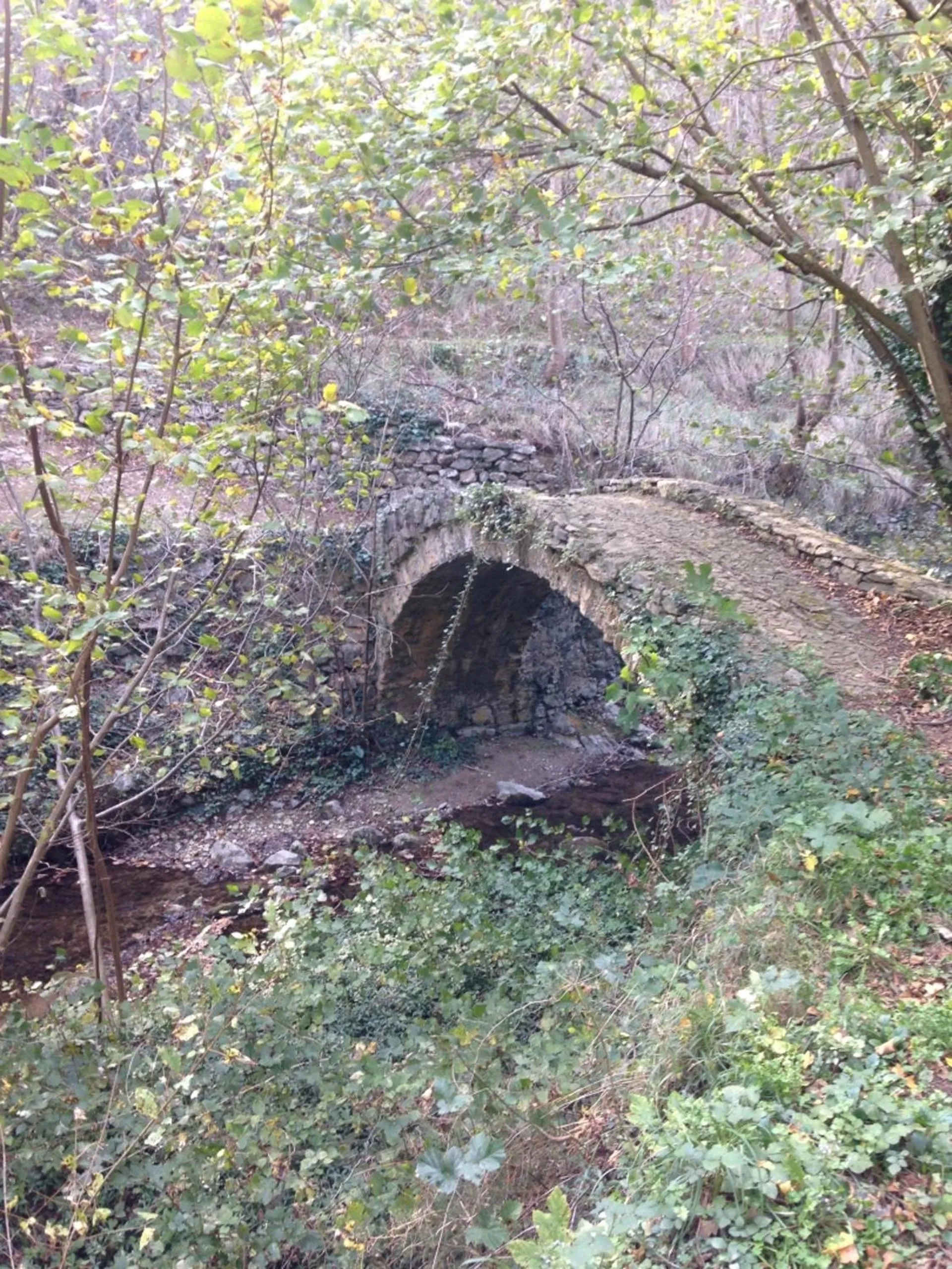 Natural landscape in Arvé Castelbianco - B&B e Appartamento