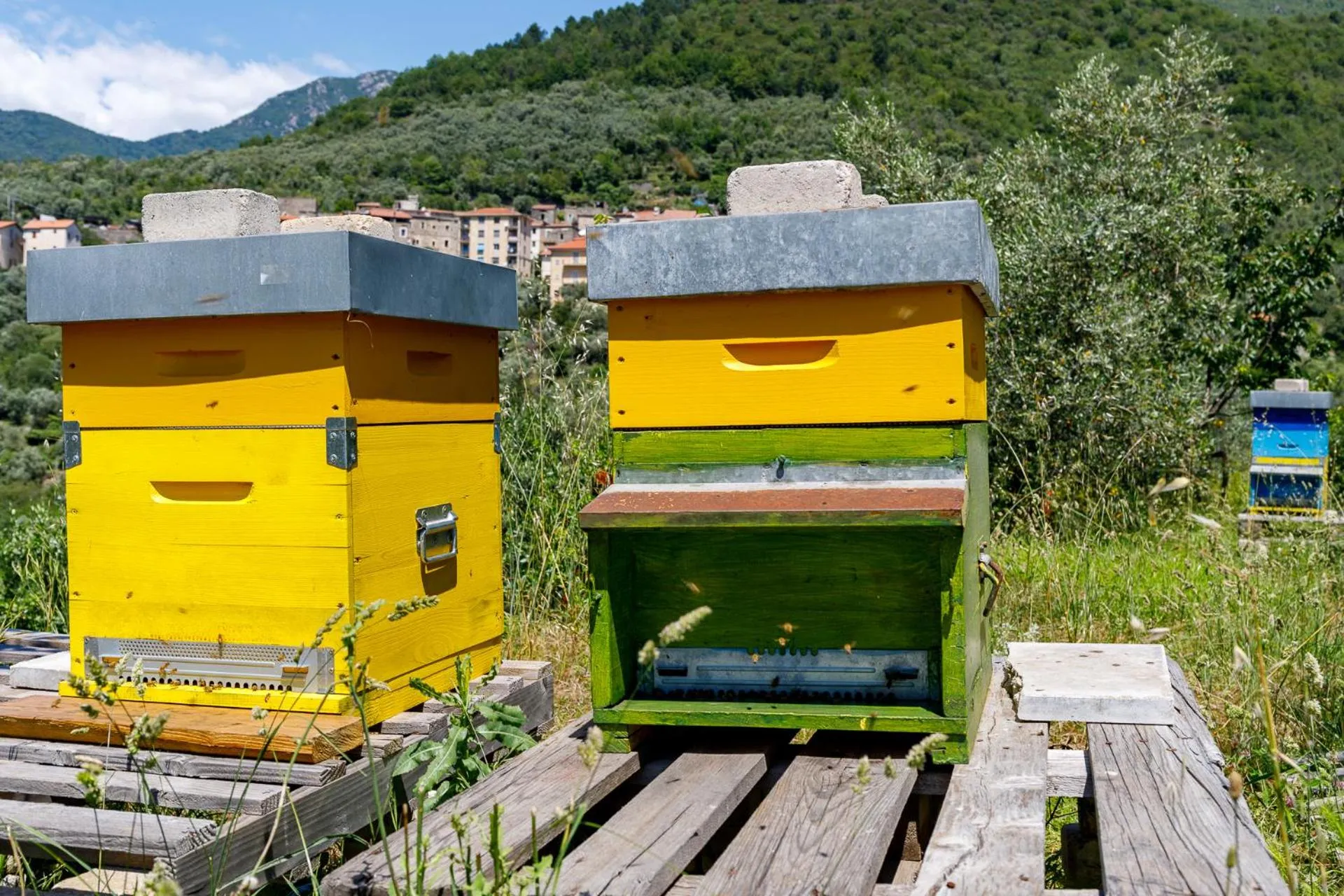 Activities in Arvé Castelbianco - B&B e Appartamento