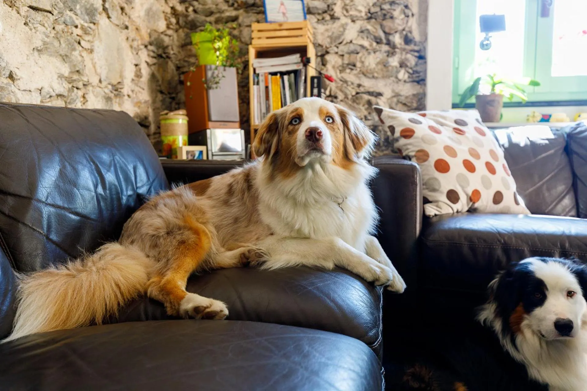 Living room in Arvé Castelbianco - B&B e Appartamento