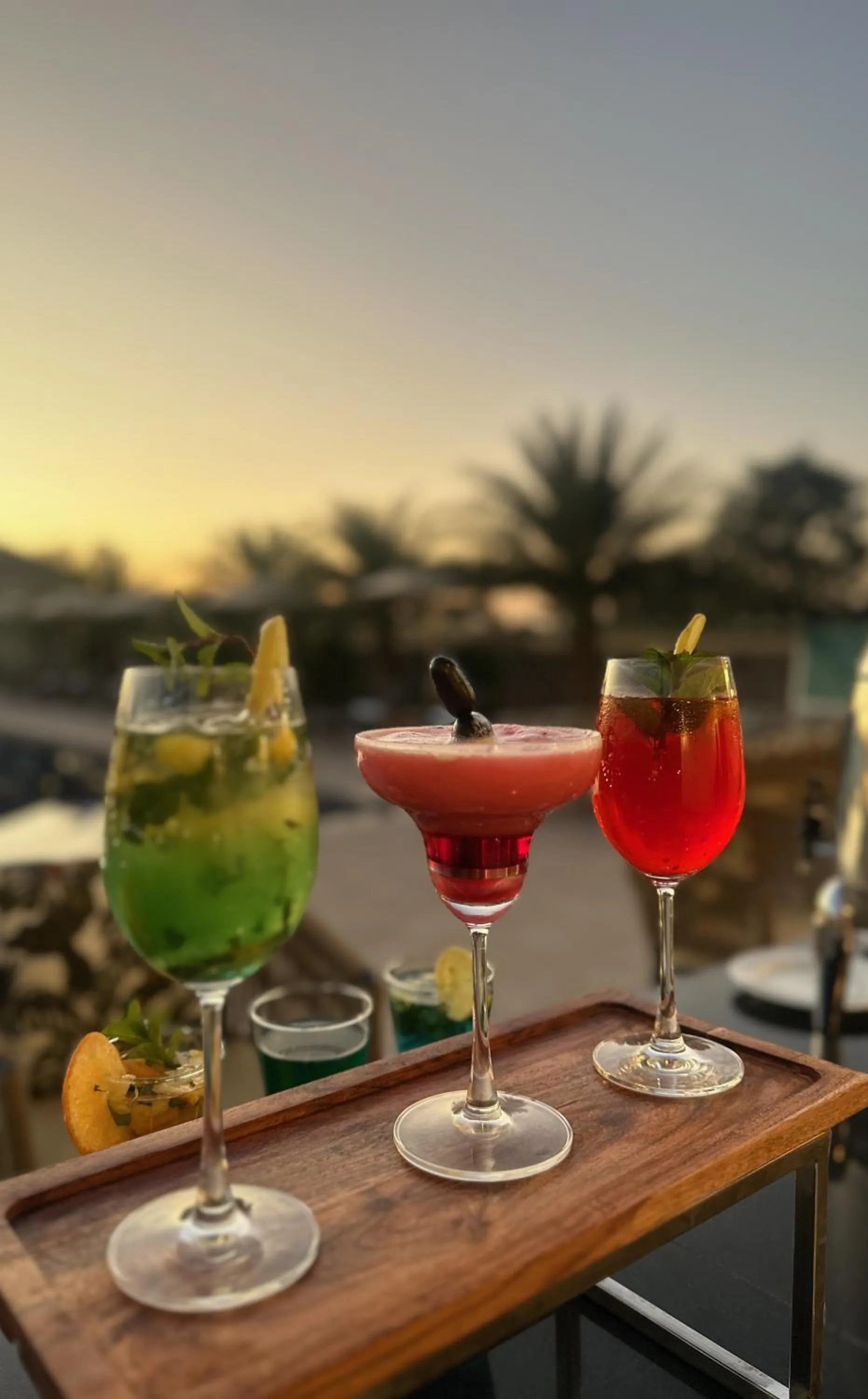 Drinks in Ranthambore Bagh Palace