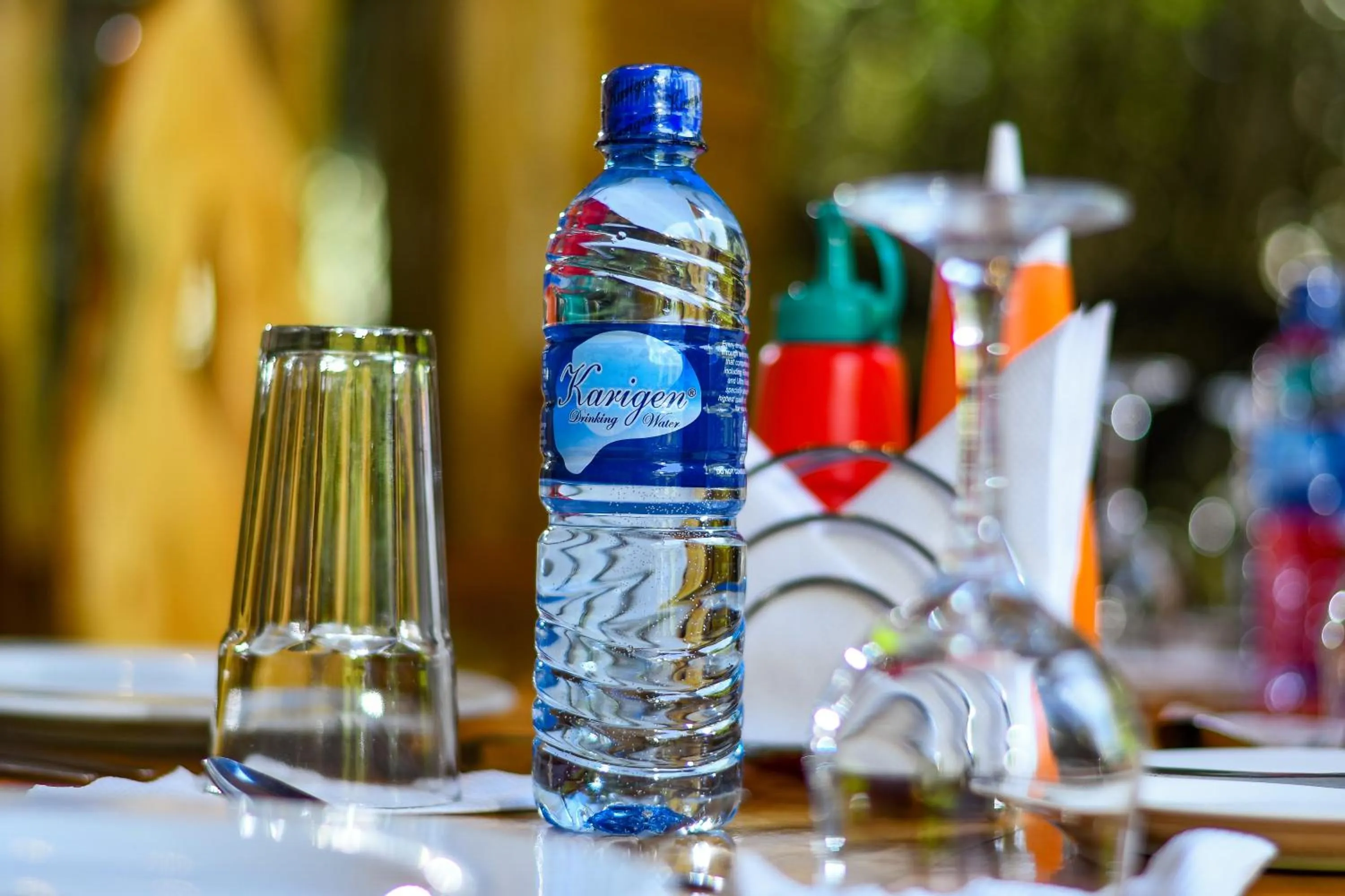 Meeting/conference room in Dovenest Lodge