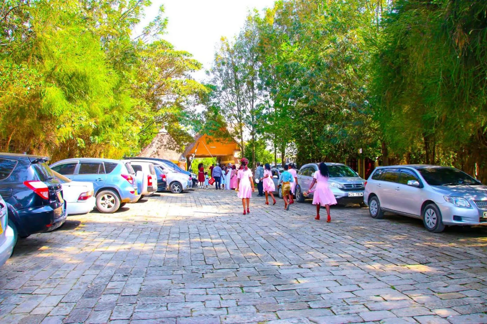 Parking in Dovenest Lodge