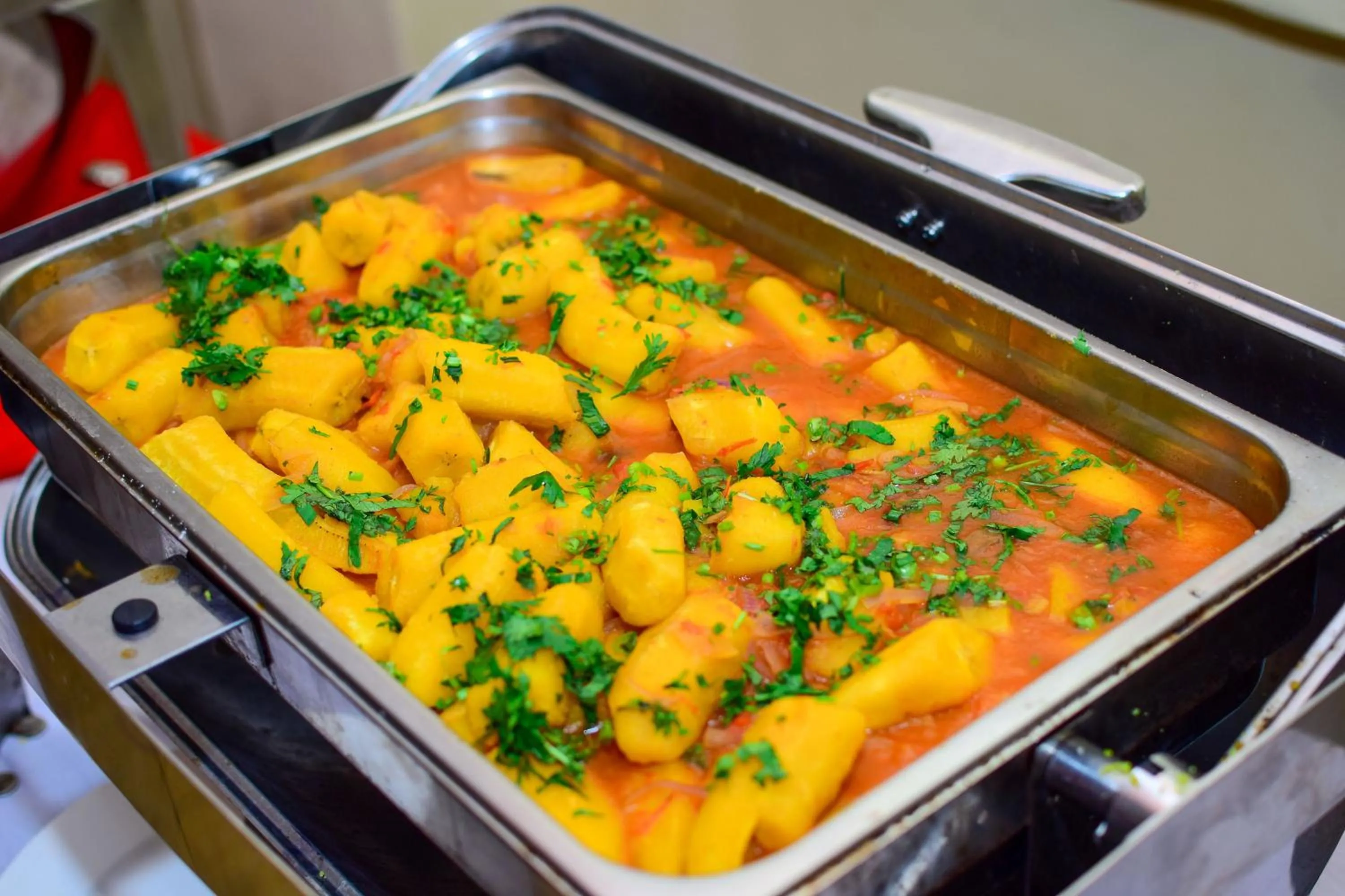 Food in Dovenest Lodge