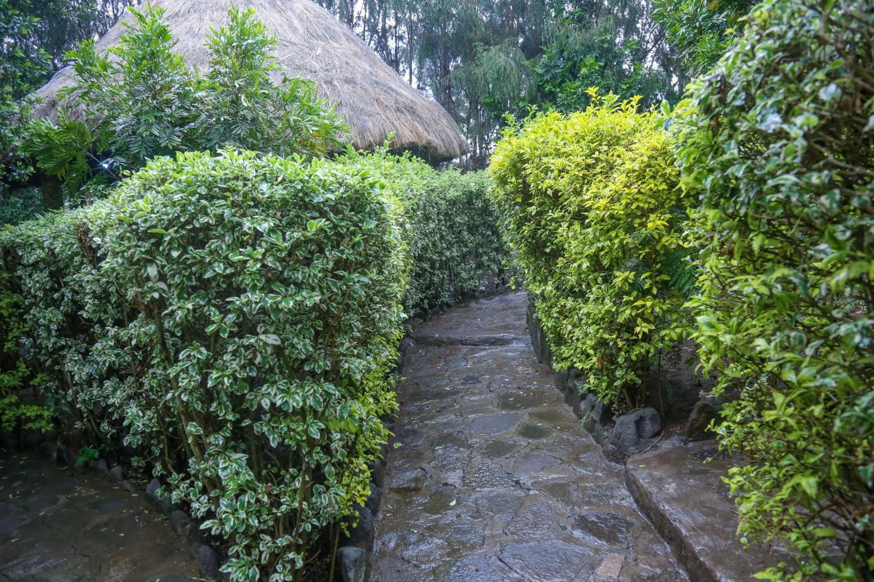 Natural landscape in Dovenest Lodge