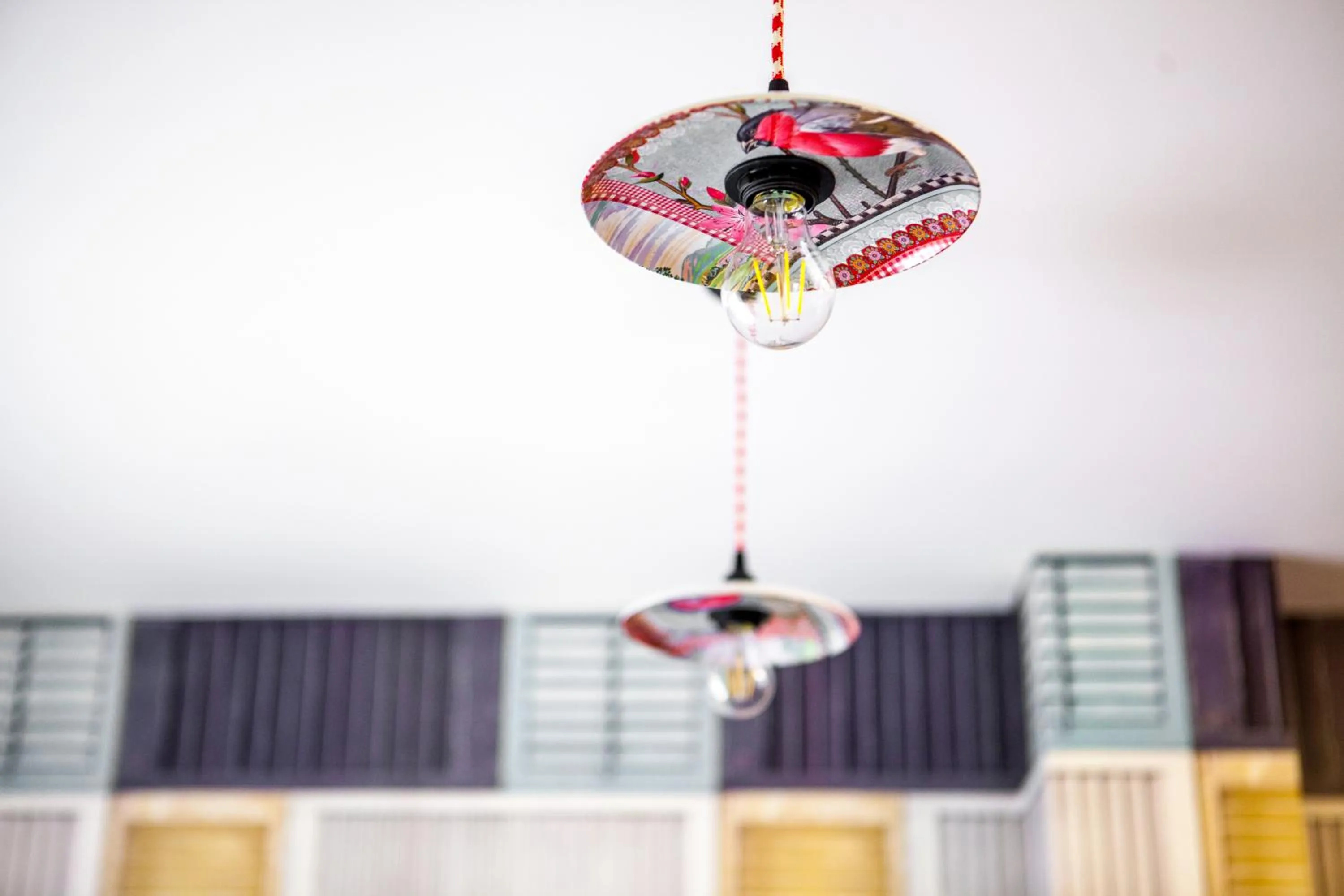 Area and facilities in Casa Vacanza al Castello