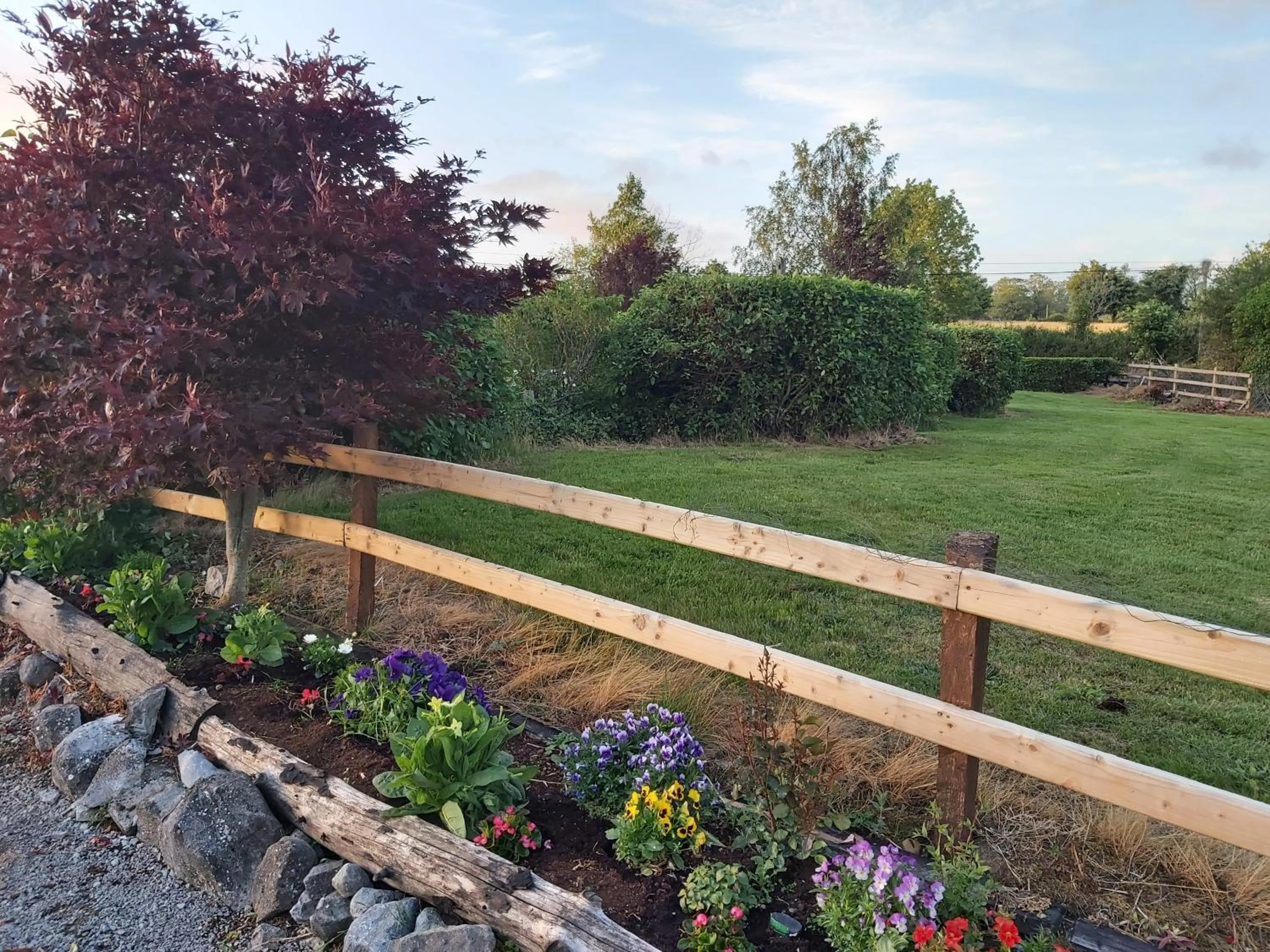 Garden in Ard Aoibhinn Roscommon Bed & Breakfast