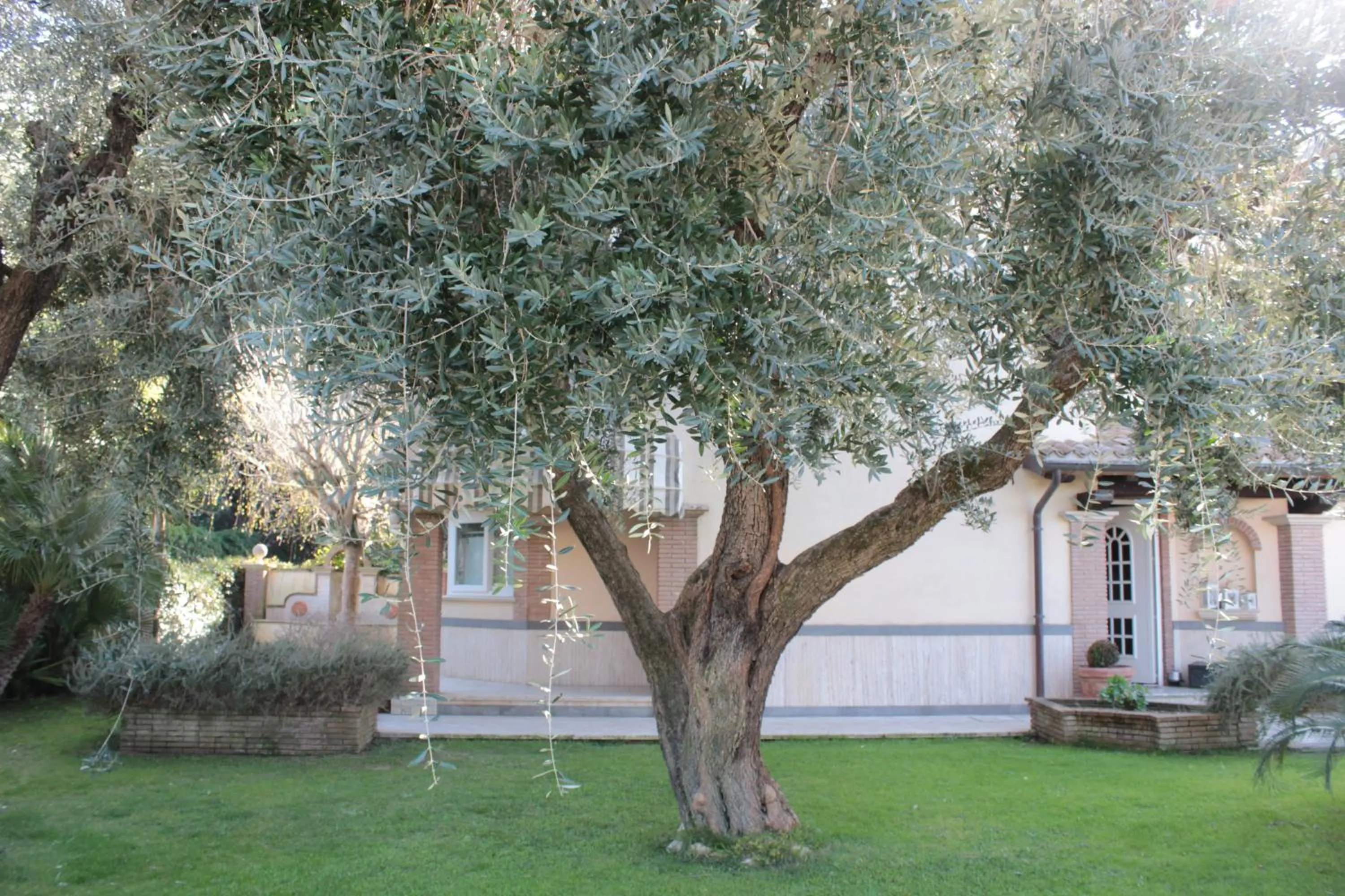 Garden in B&B Cavalieri