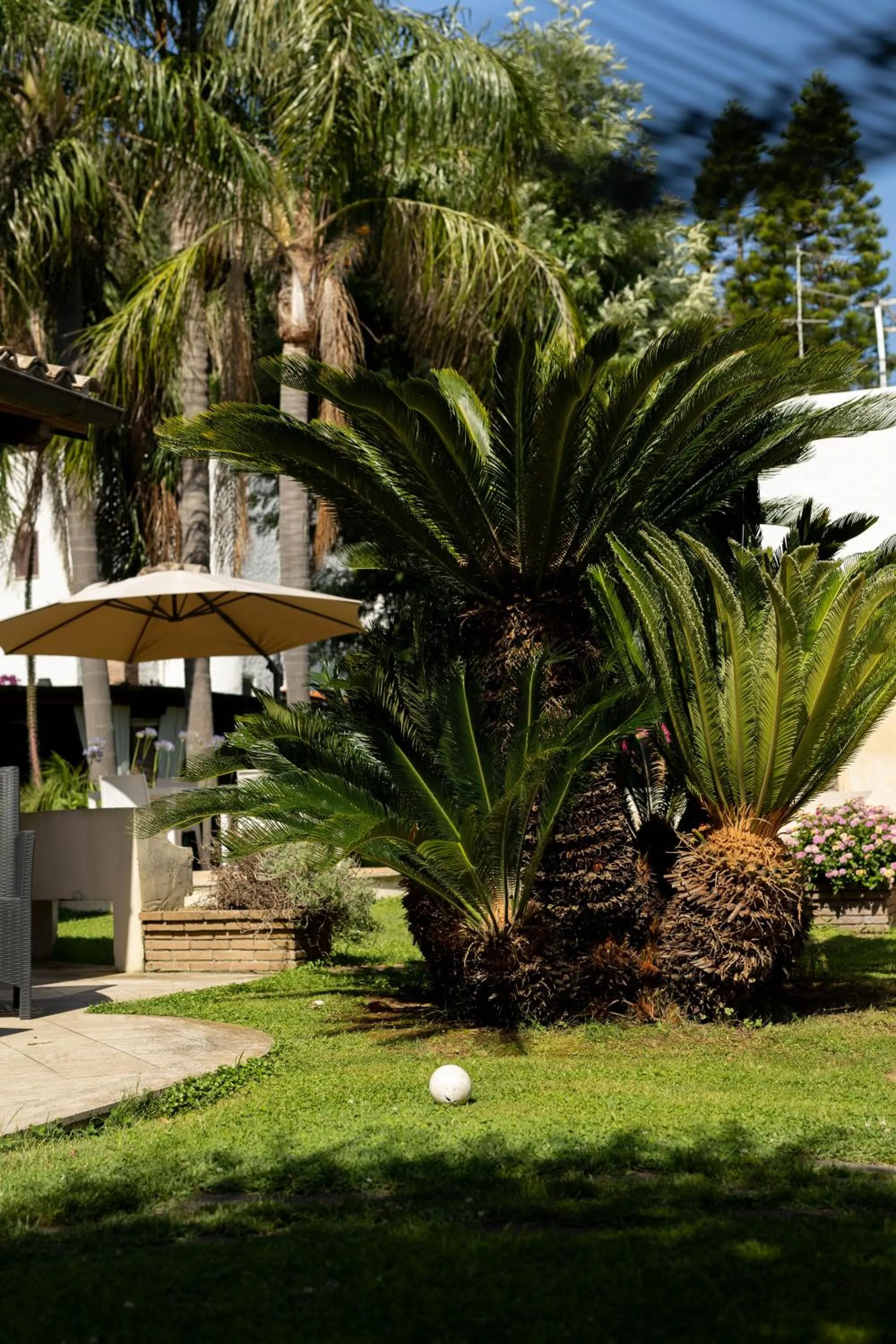 Garden in B&B Cavalieri