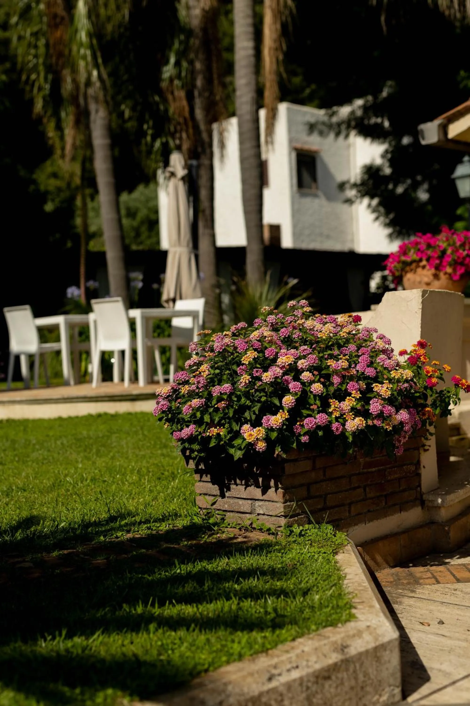 Garden in B&B Cavalieri