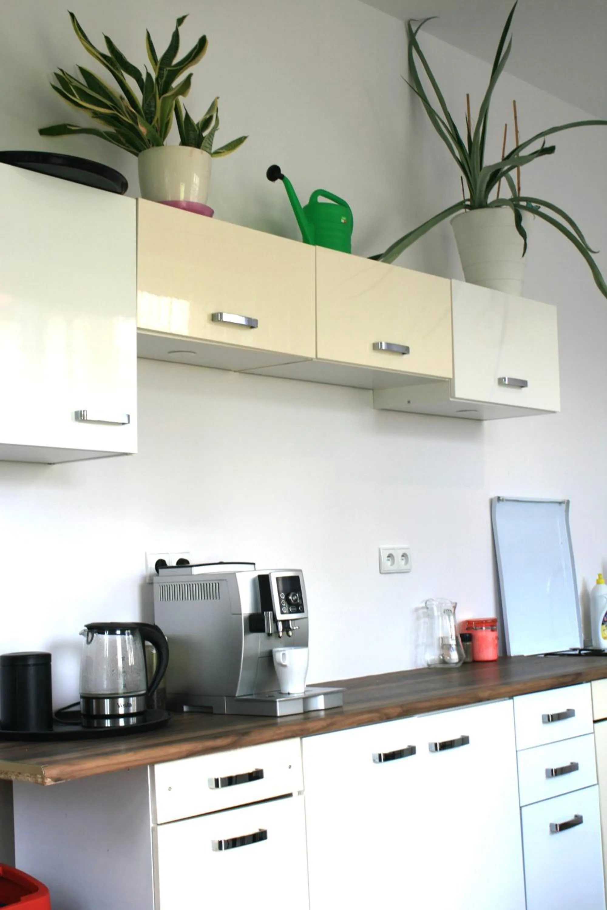 Property building in Dom Goscinny Luna