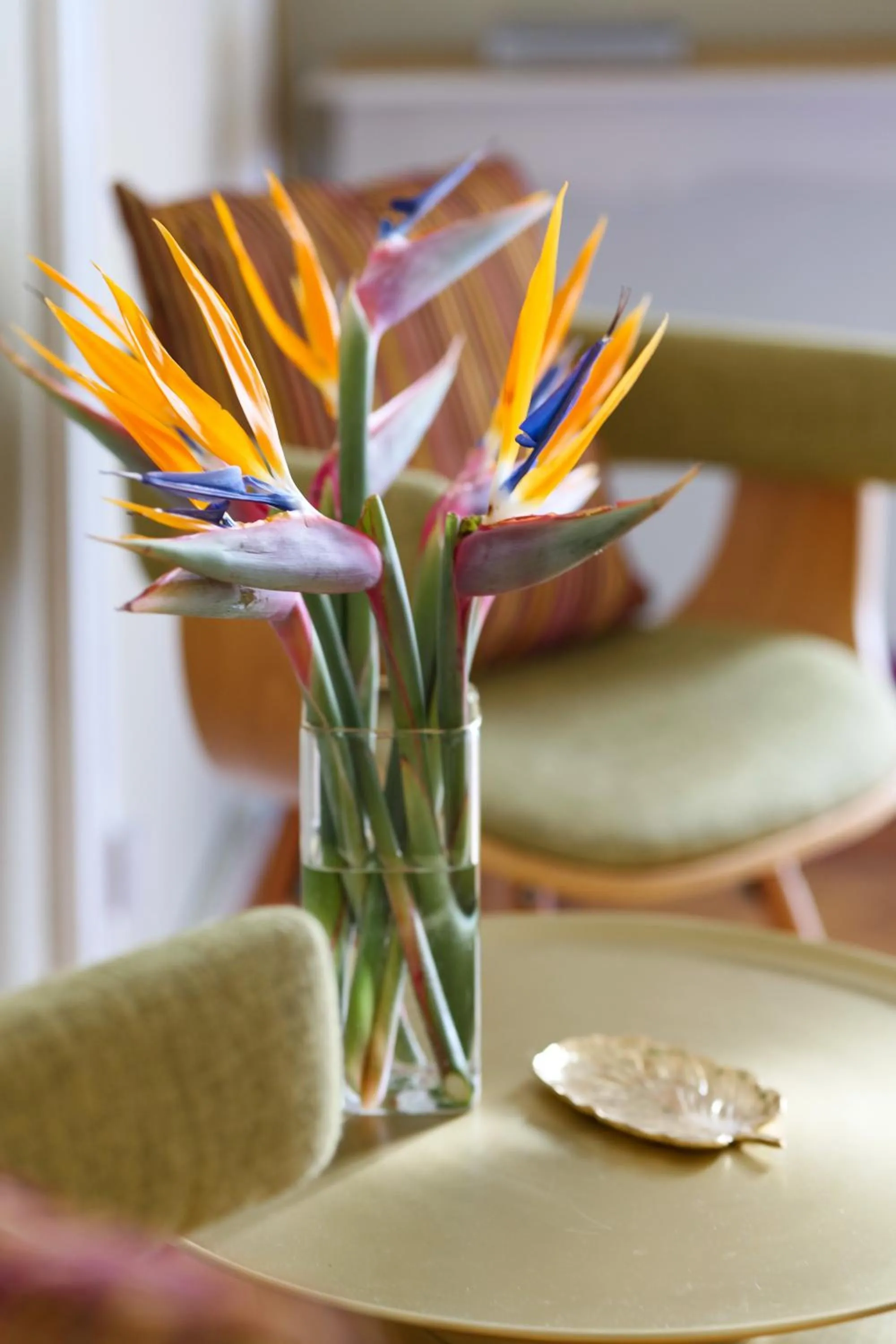 Decorative detail in House of Frames