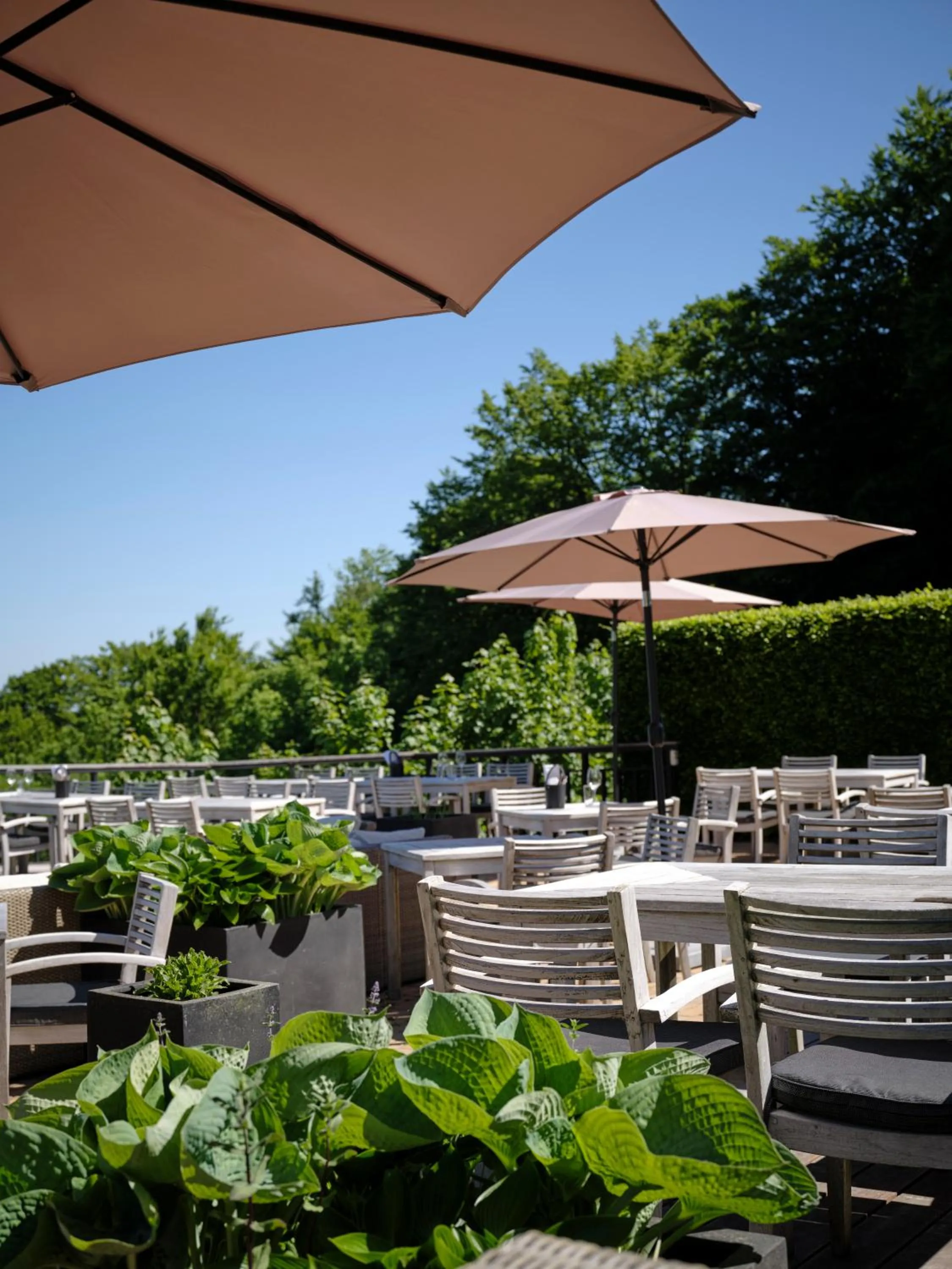 Balcony/Terrace in Munkebjerg Hotel