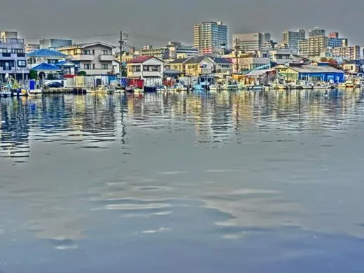 Natural landscape in Hinode House