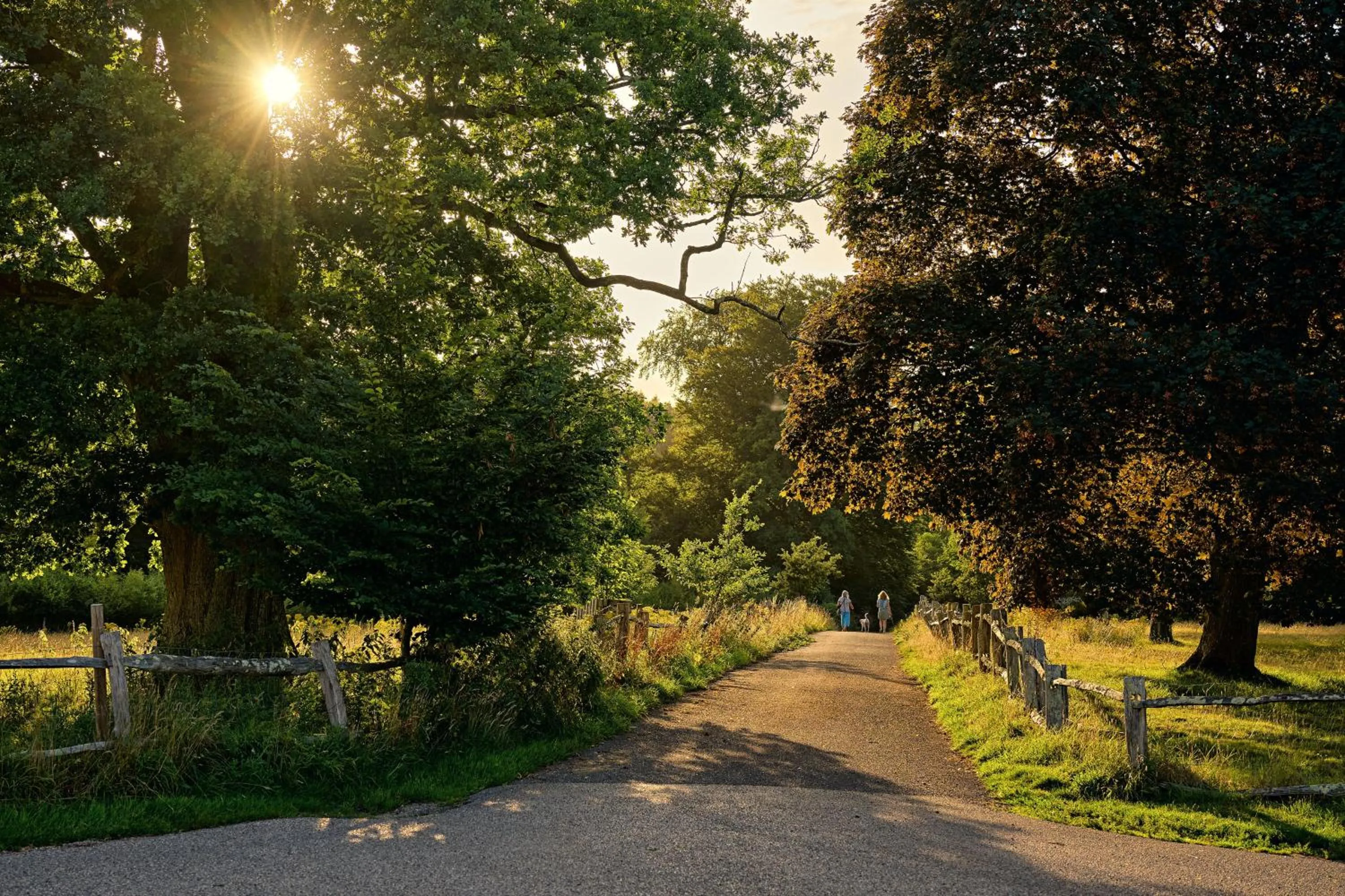 Garden in Buxted Park Hotel