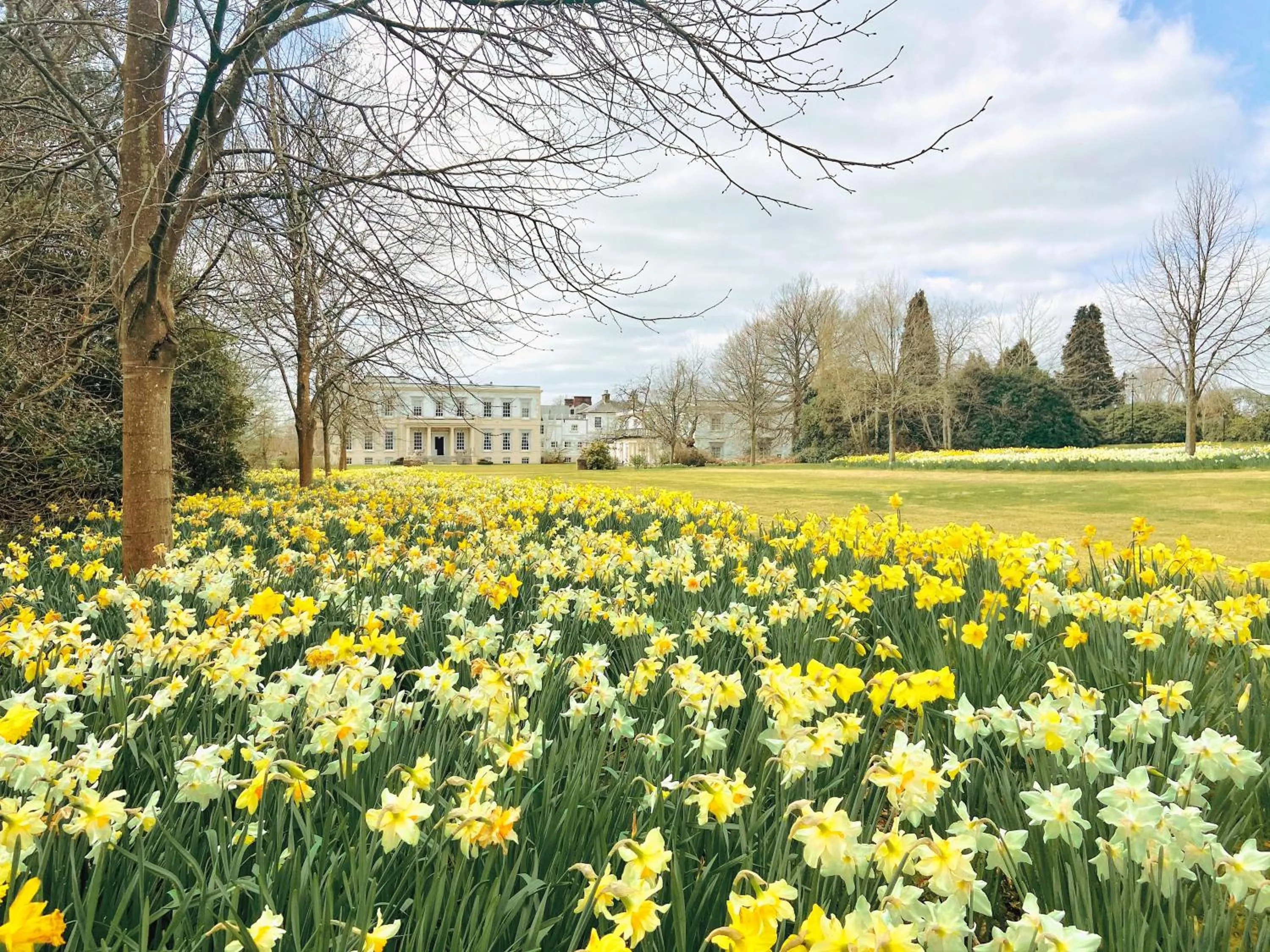View (from property/room) in Buxted Park Hotel