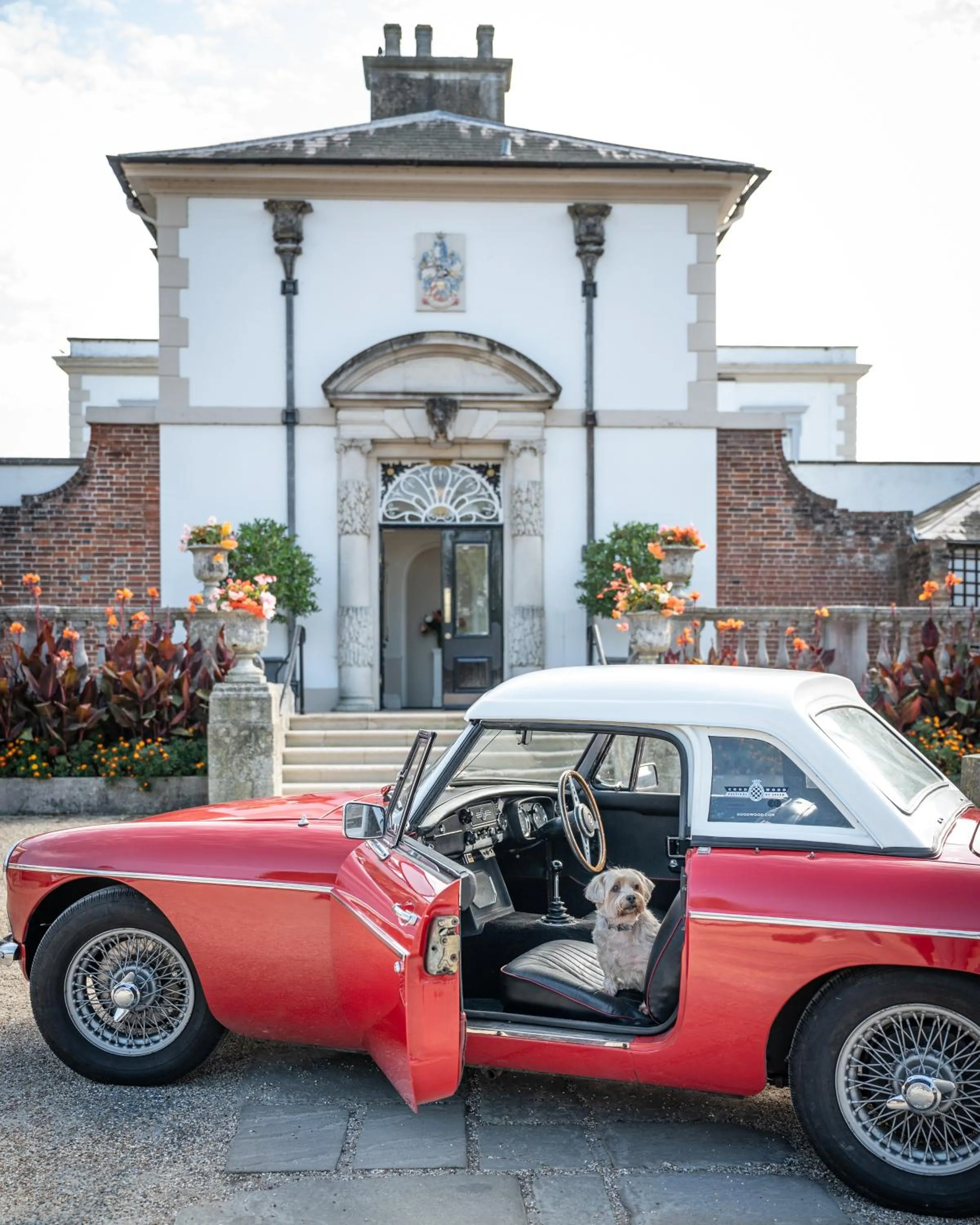 Pets in Buxted Park Hotel