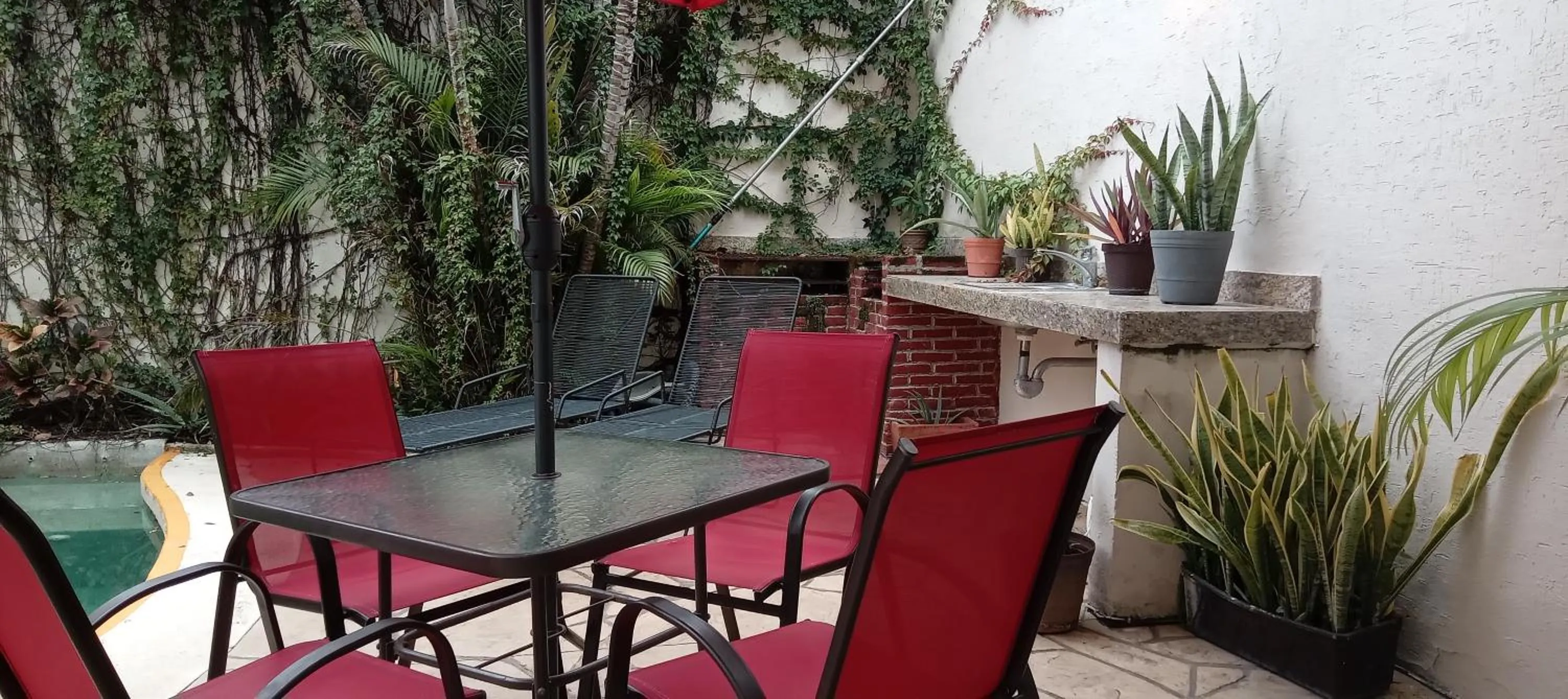 Swimming pool in Bed and Breakfast Pecarí