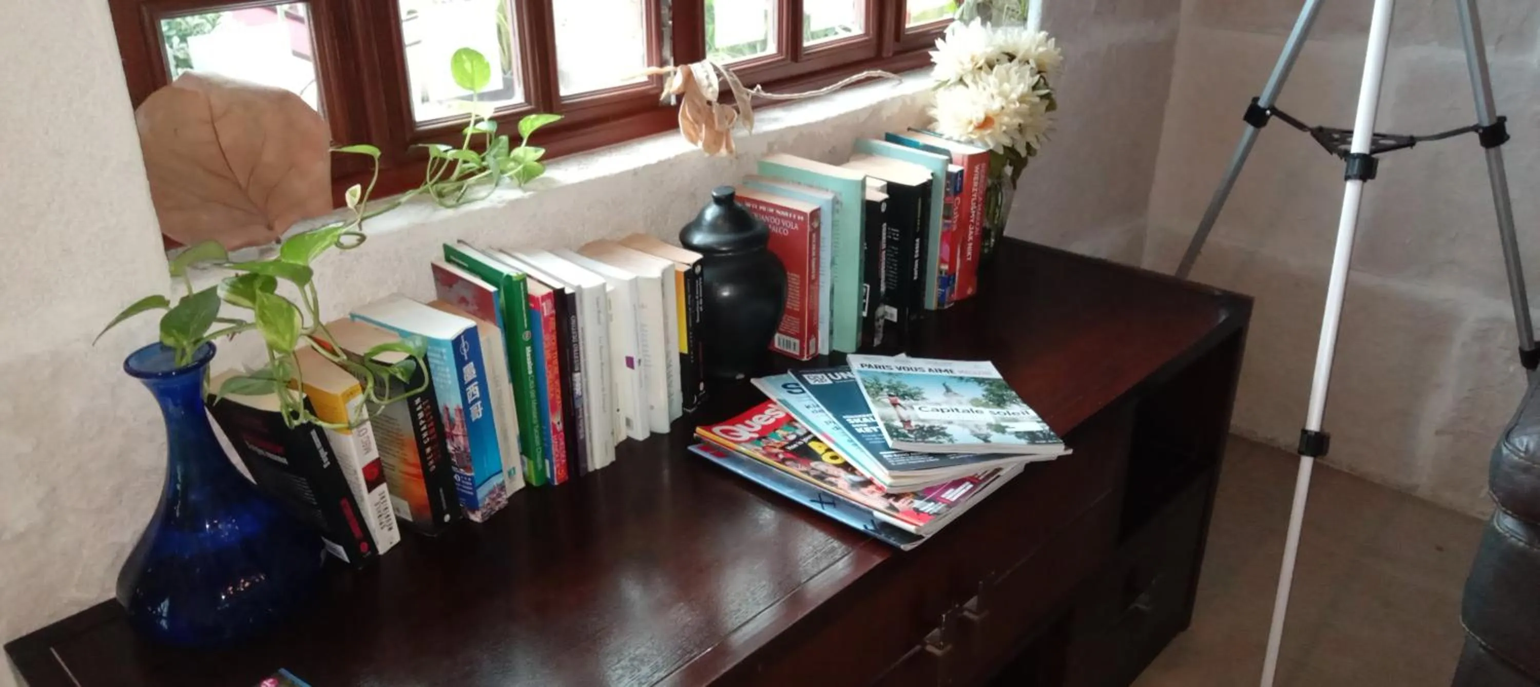 Library in Bed and Breakfast Pecarí