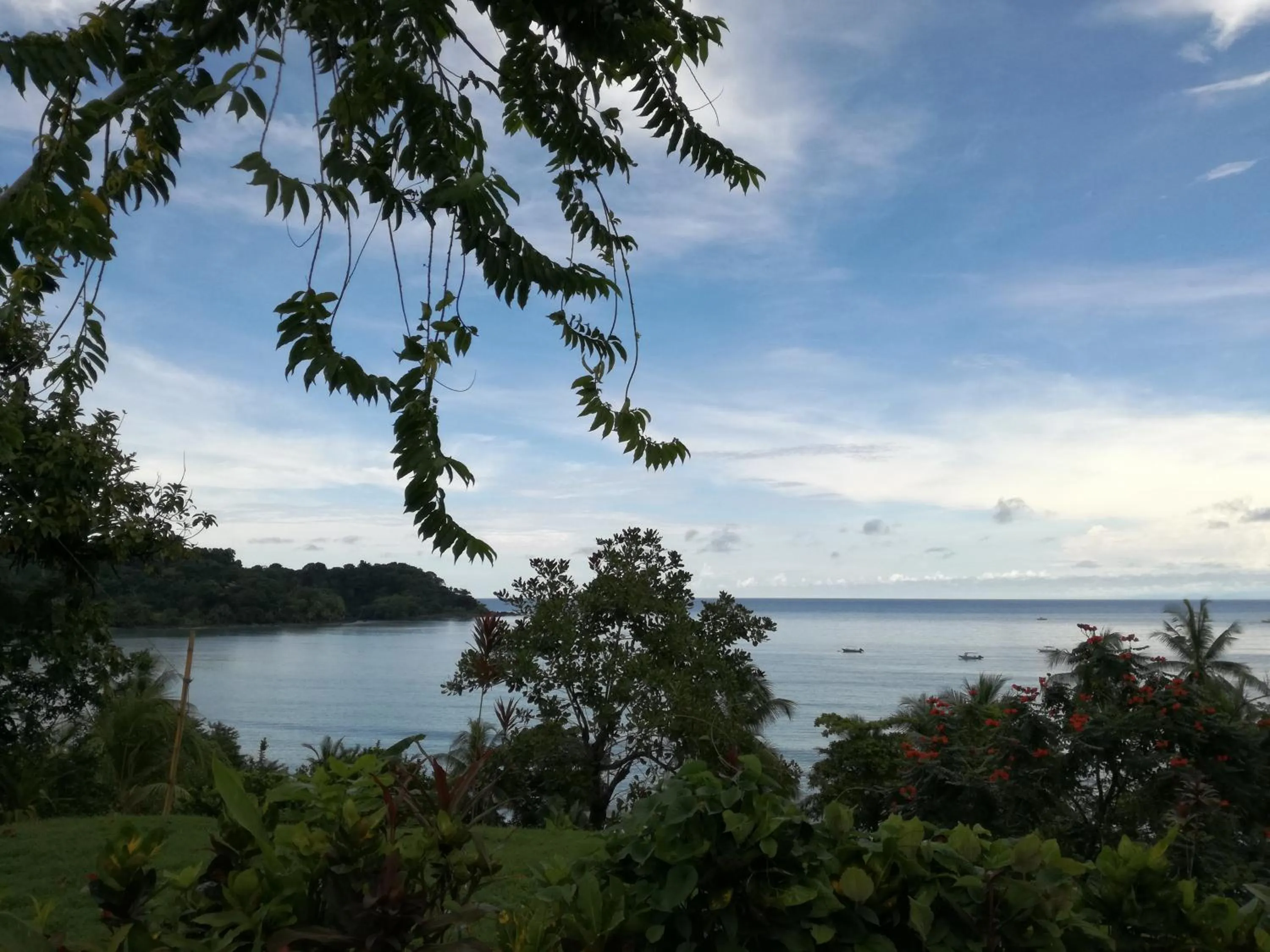 Natural landscape in Osa House - Drake Bay