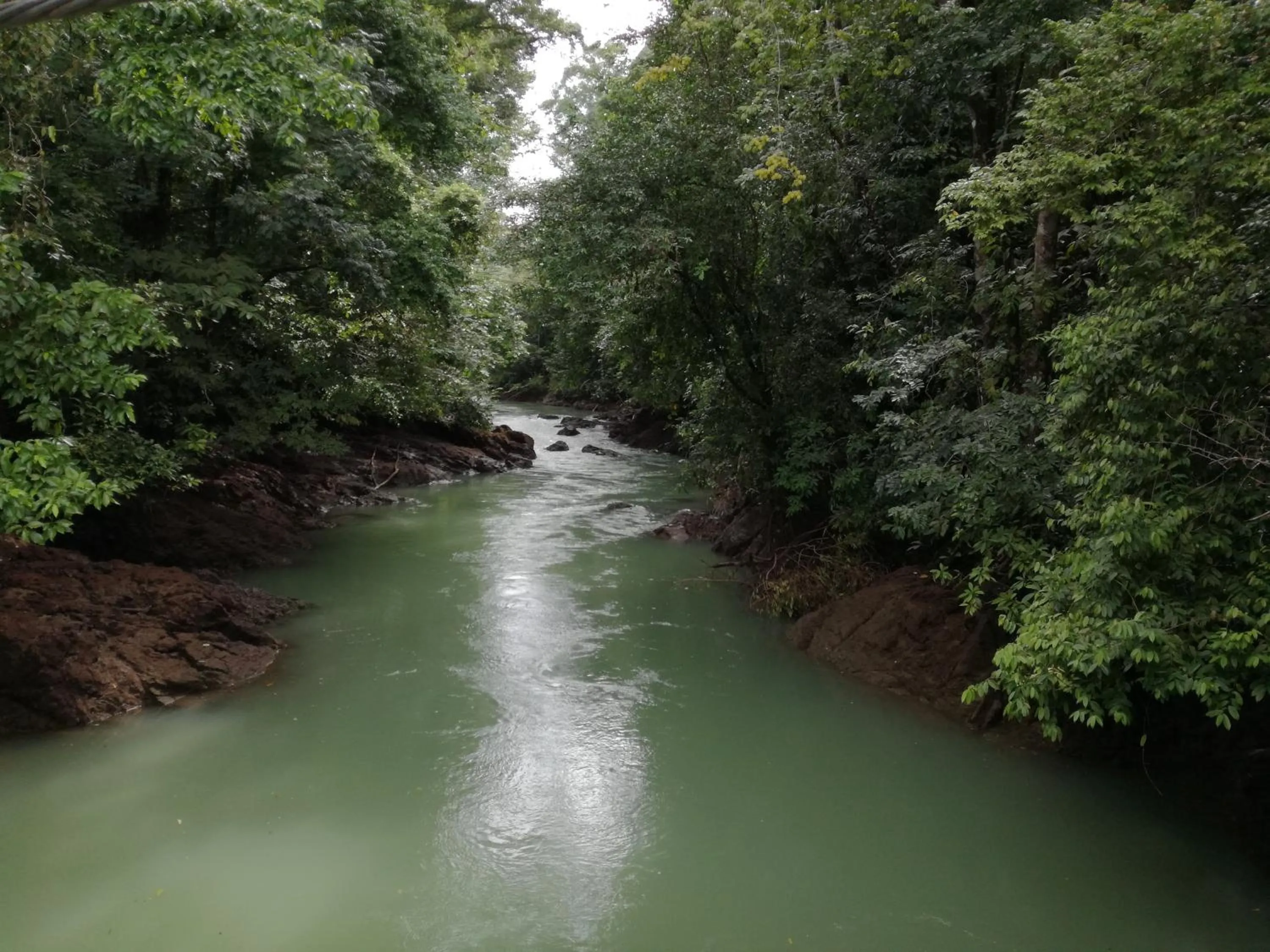 Day in Osa House - Drake Bay