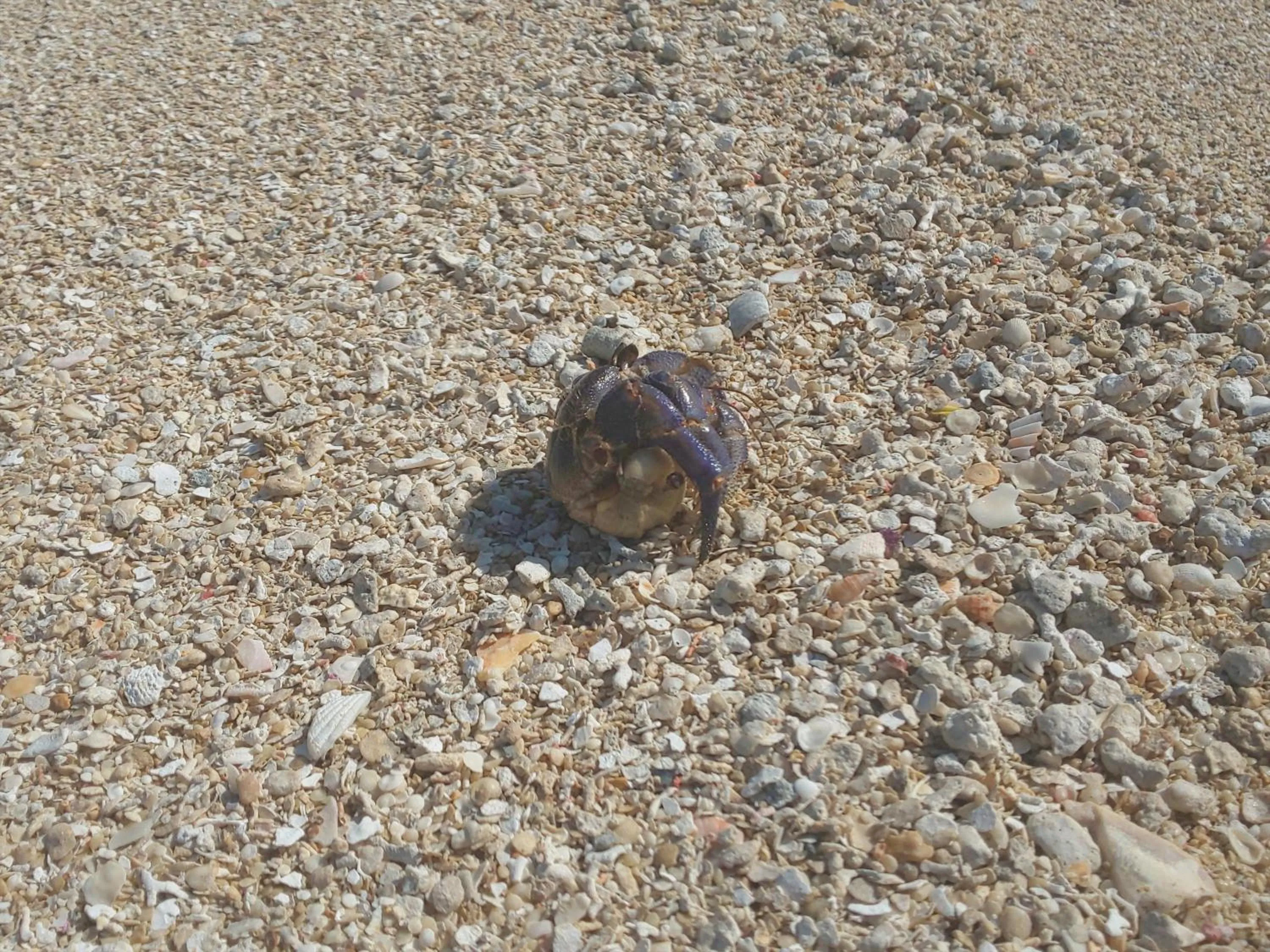 Off site in Uminchuno Yado