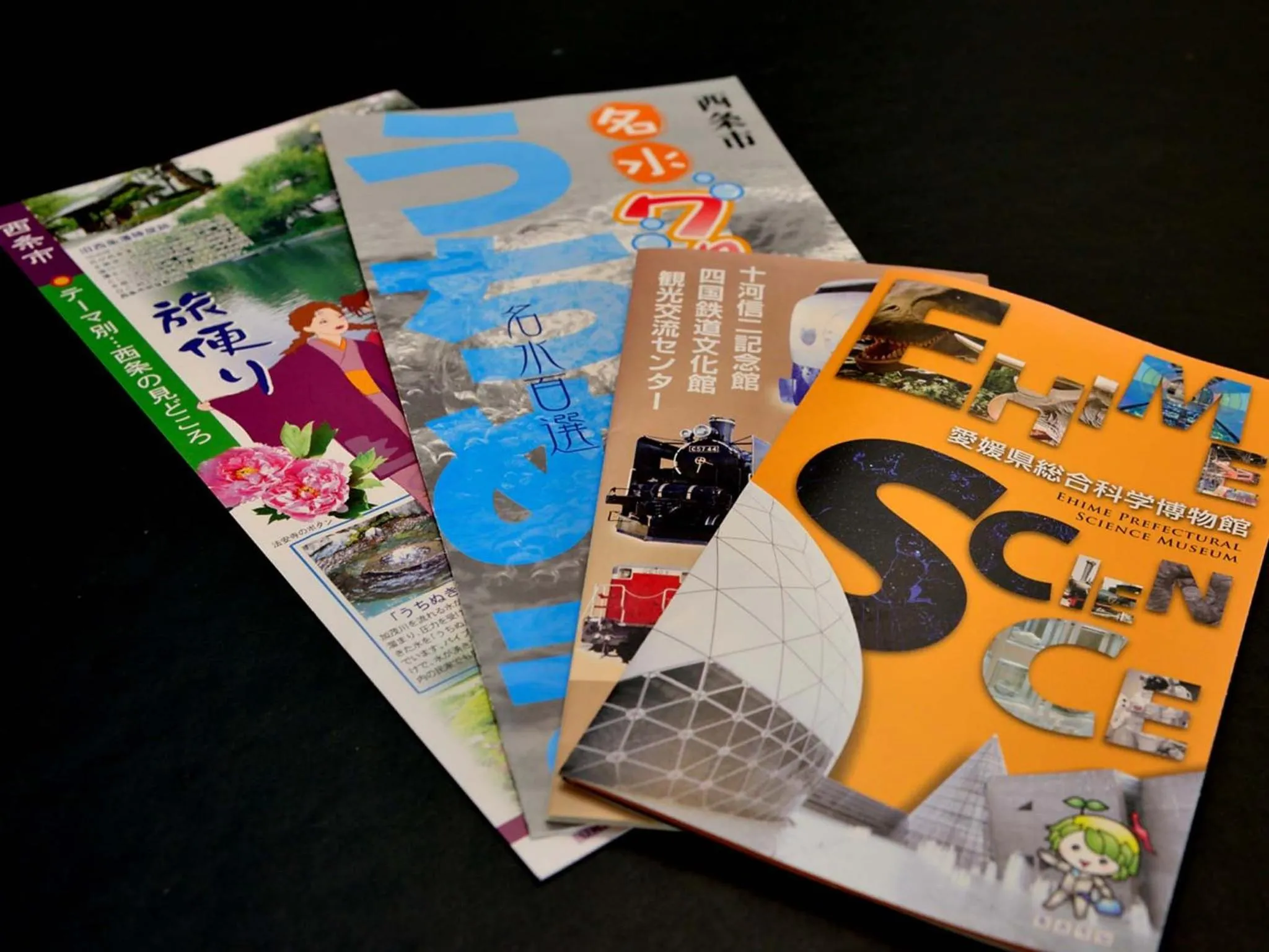 Area and facilities in Hotel Tamanoya