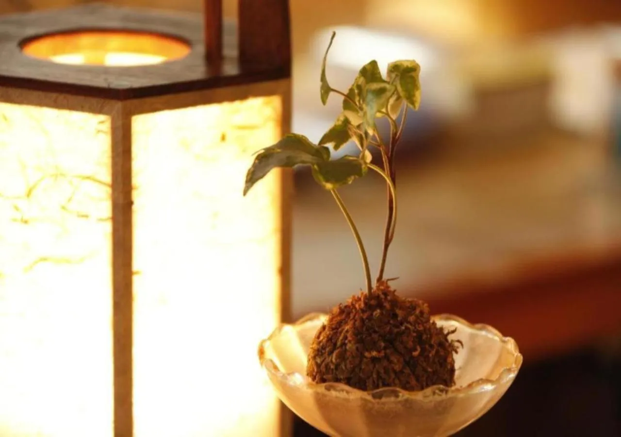 Photo of the whole room in Oribana