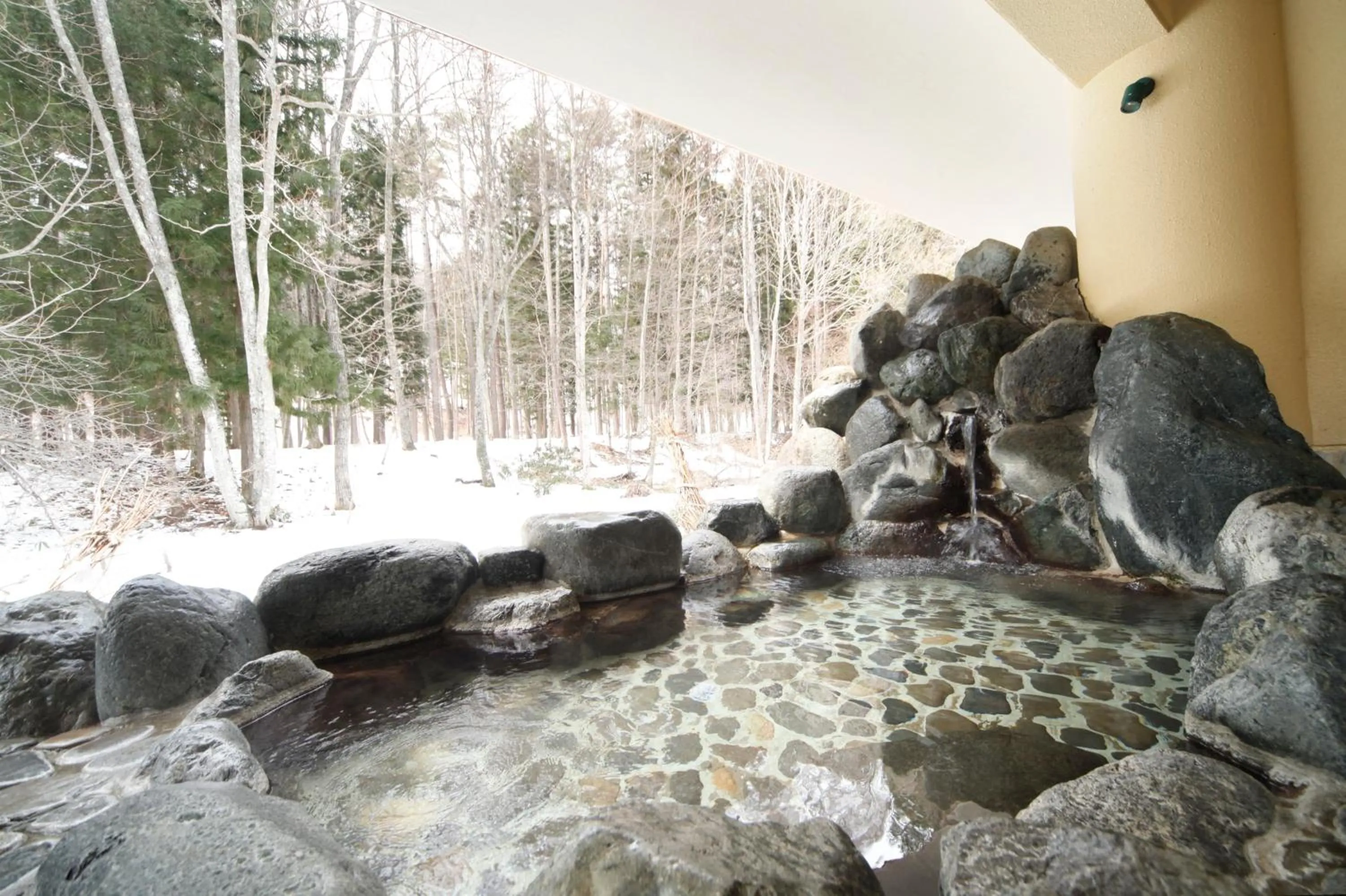Hot Spring Bath in Oribana