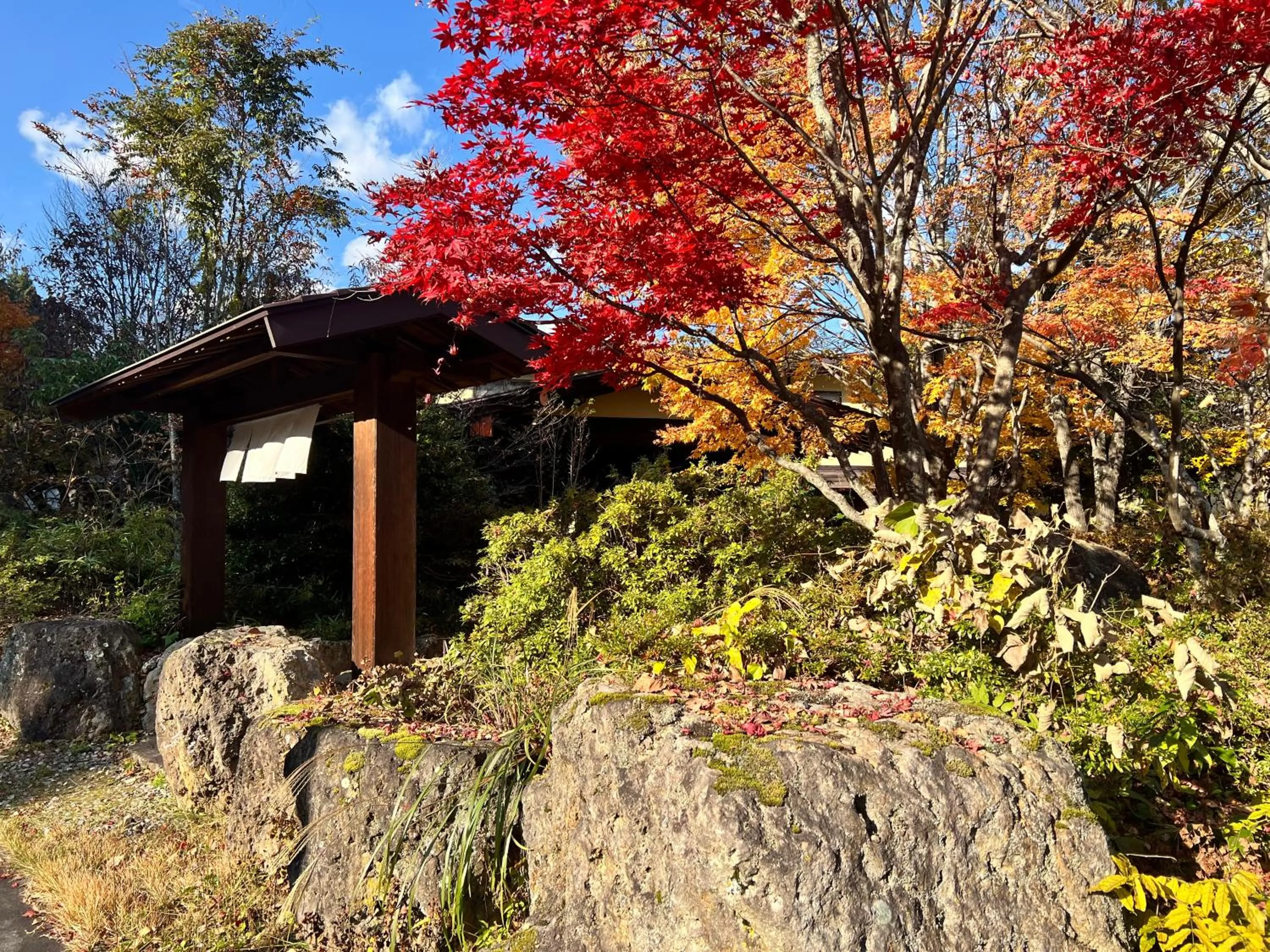 Property logo or sign in Oribana