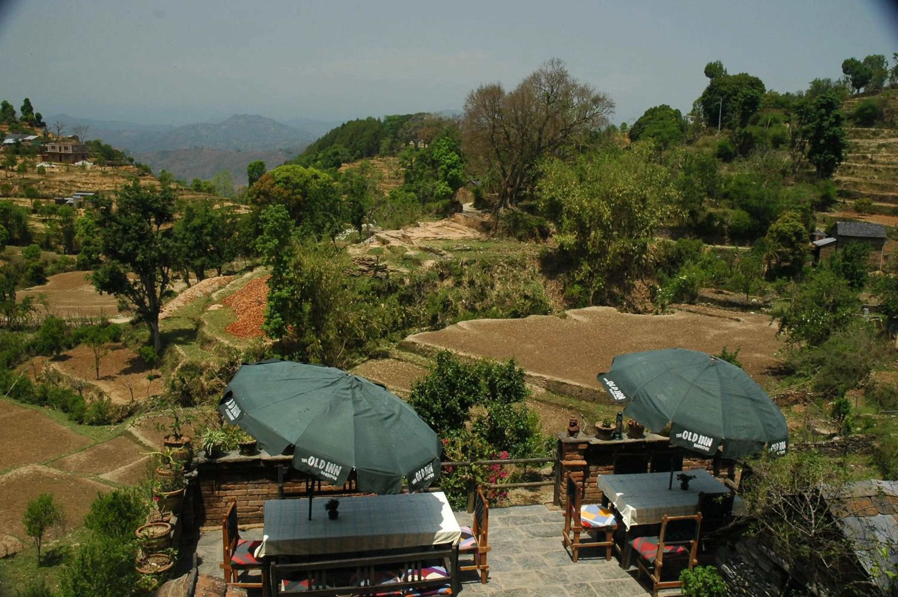 Restaurant/places to eat in The Old Inn