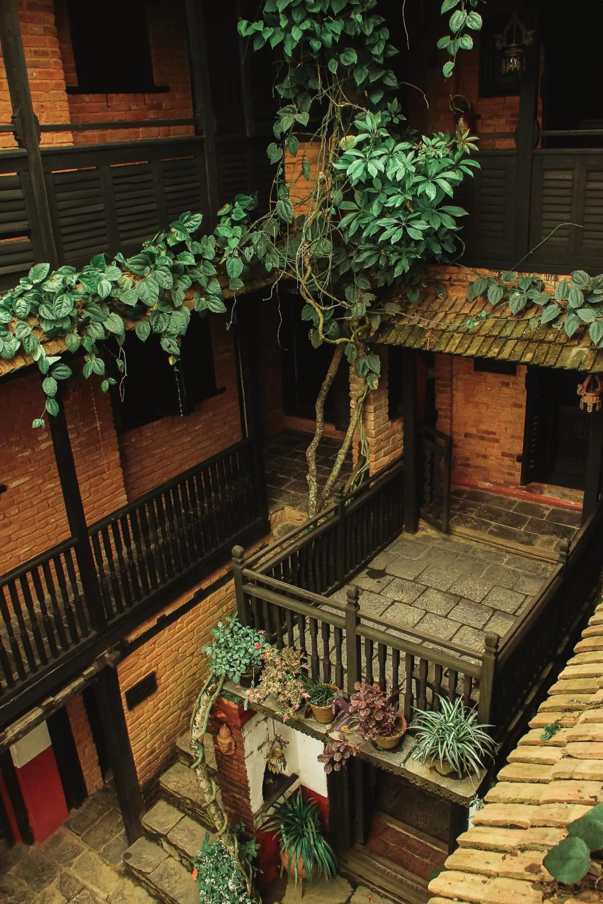 Garden view in The Old Inn