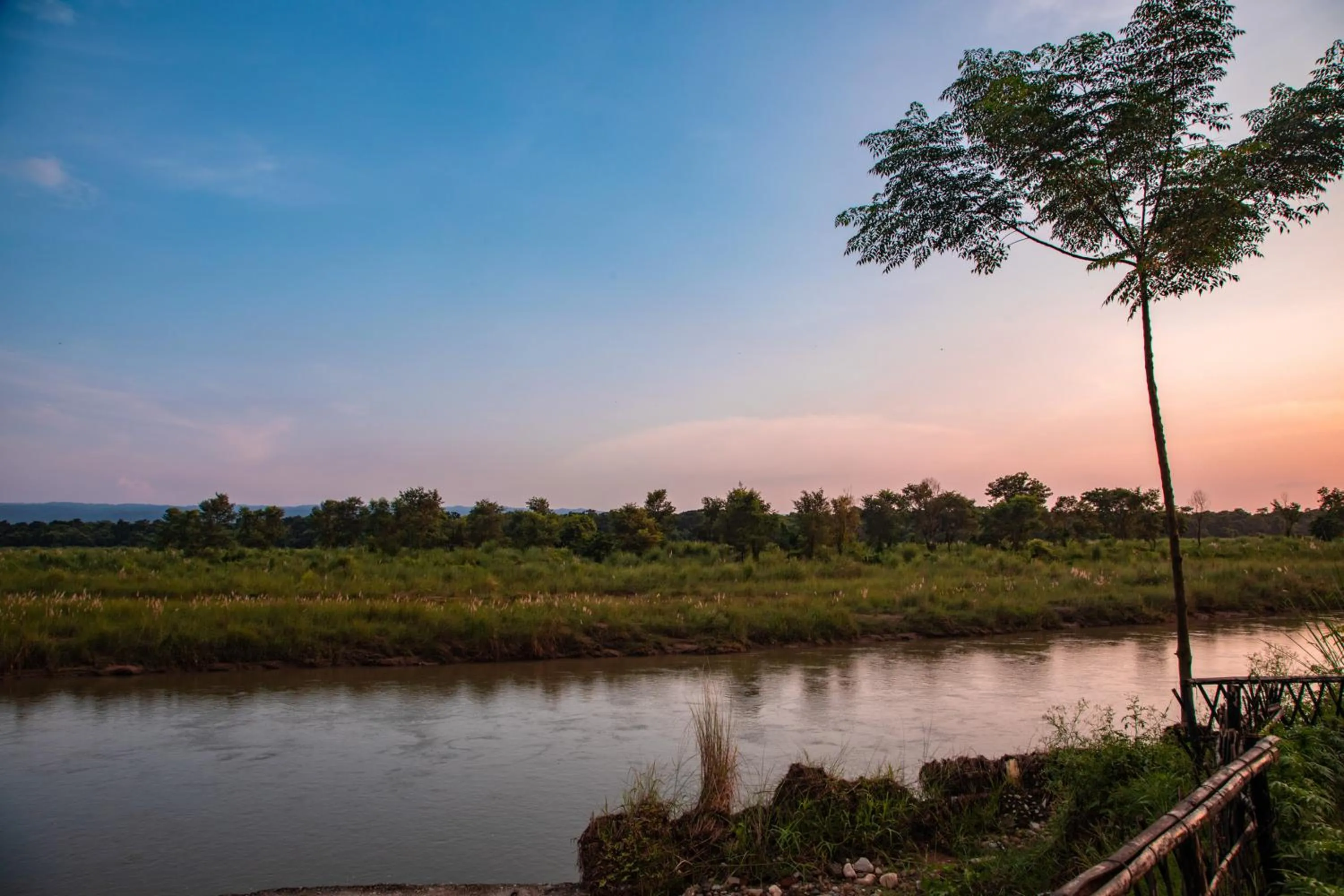 Natural landscape in Chitwan Riverside Resort