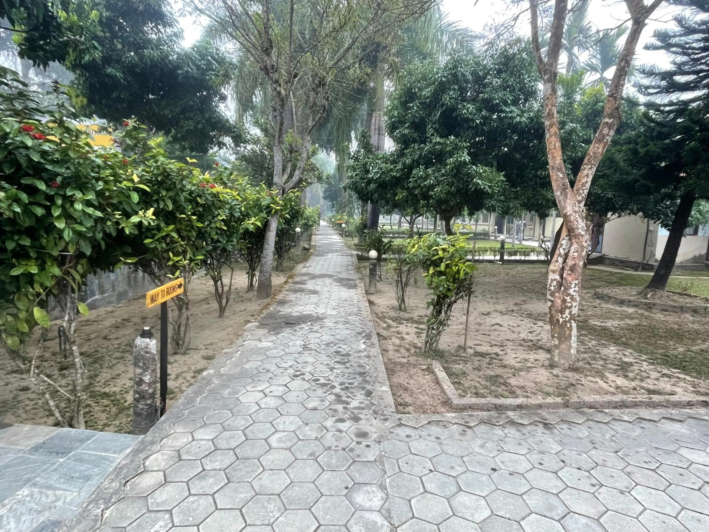 Day in Chitwan Riverside Resort