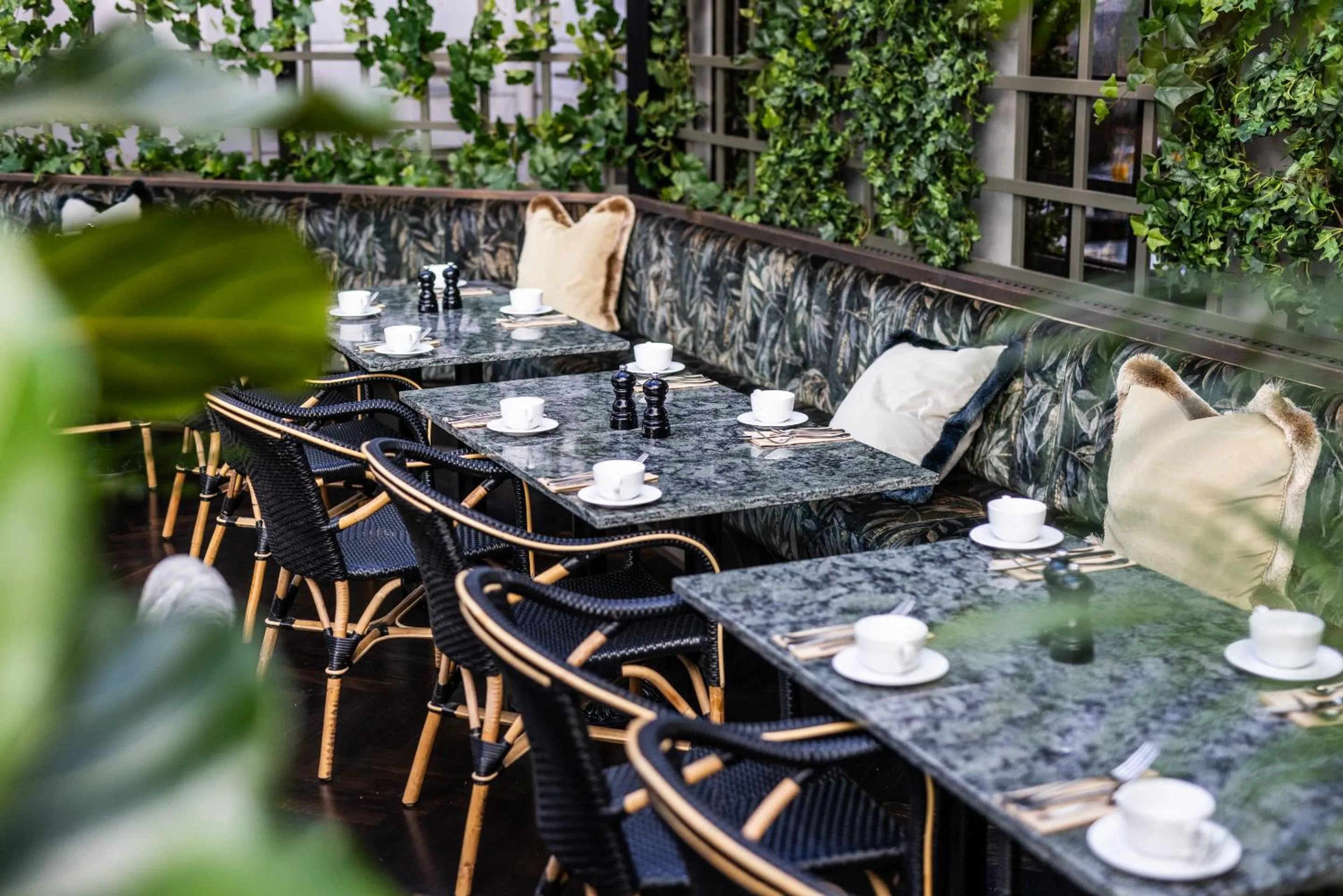 Restaurant/places to eat in Hotel Royal