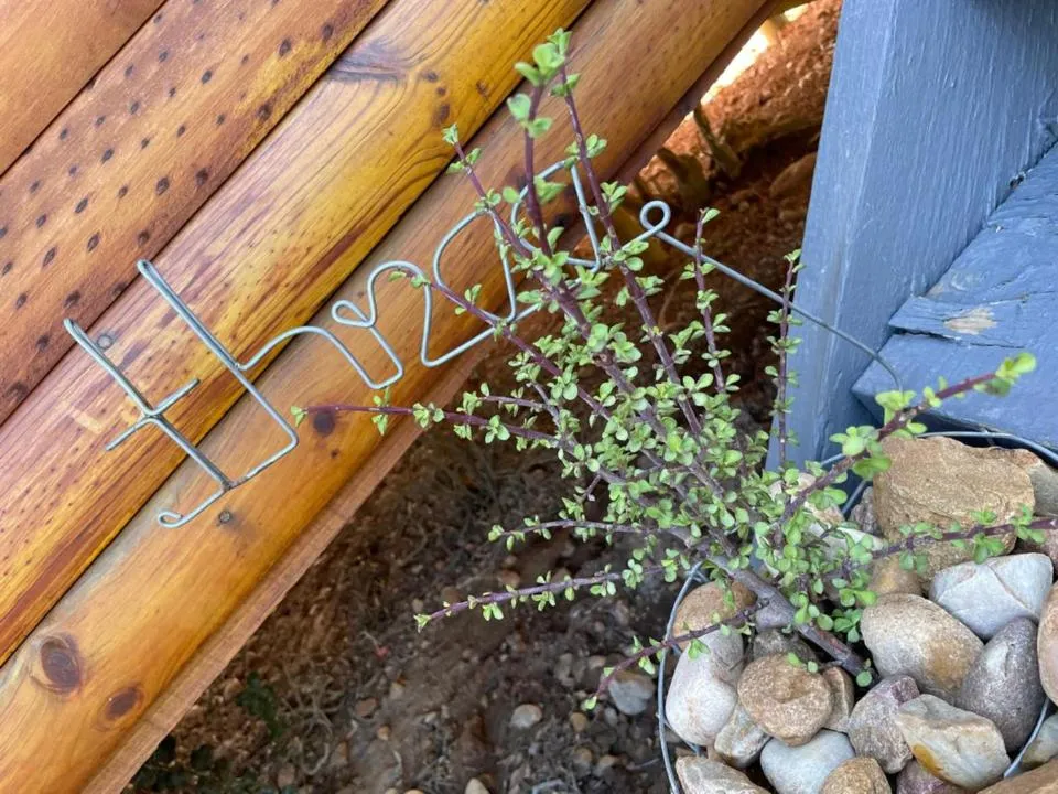 Garden in Klein Karoo Game Lodge