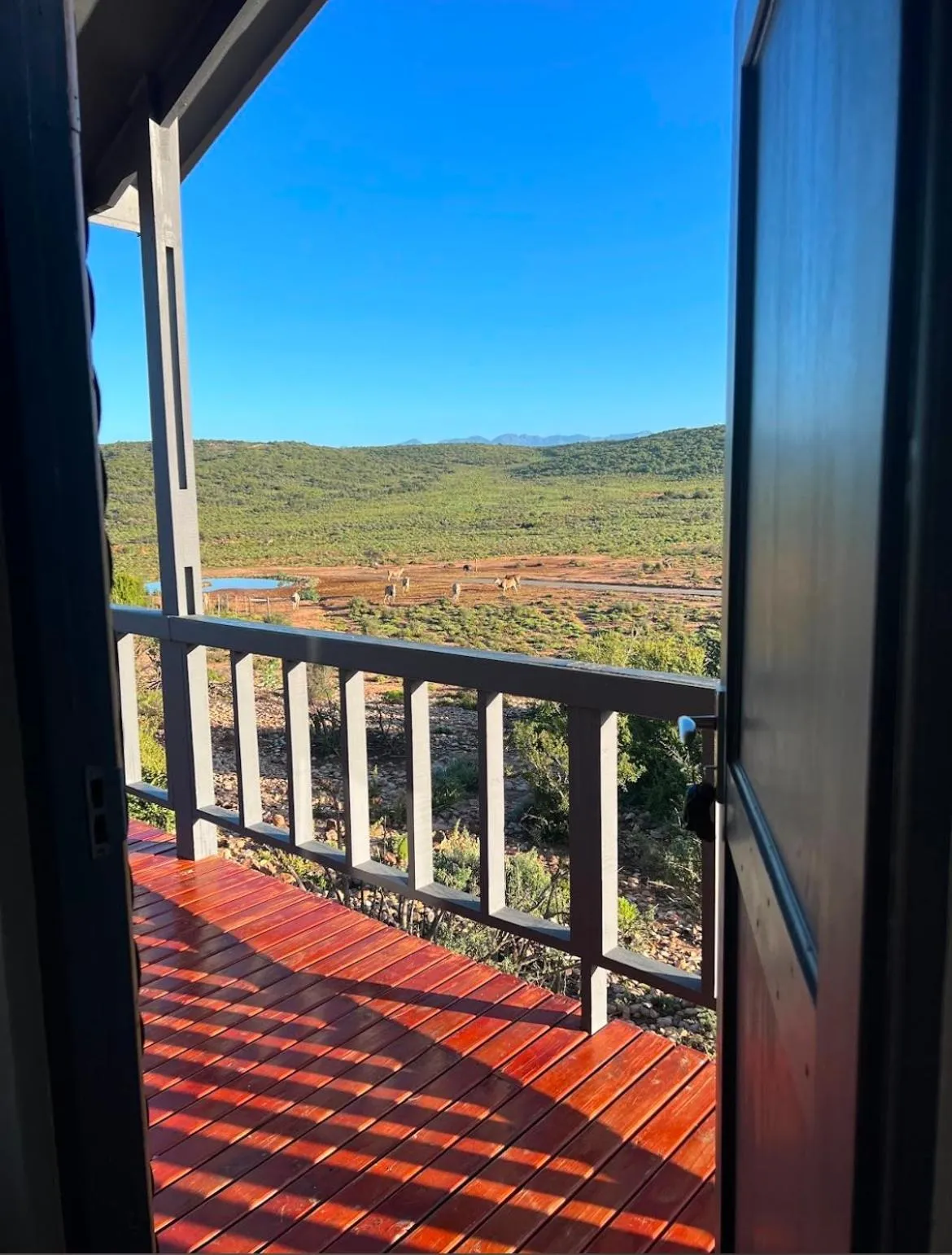 Natural landscape in Klein Karoo Game Lodge