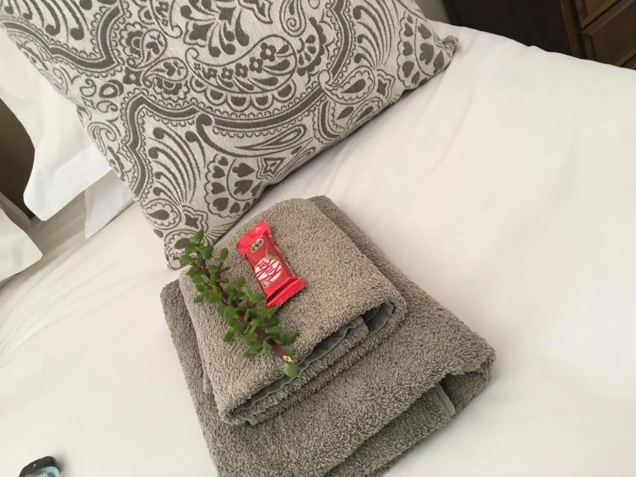 Bed in Klein Karoo Game Lodge