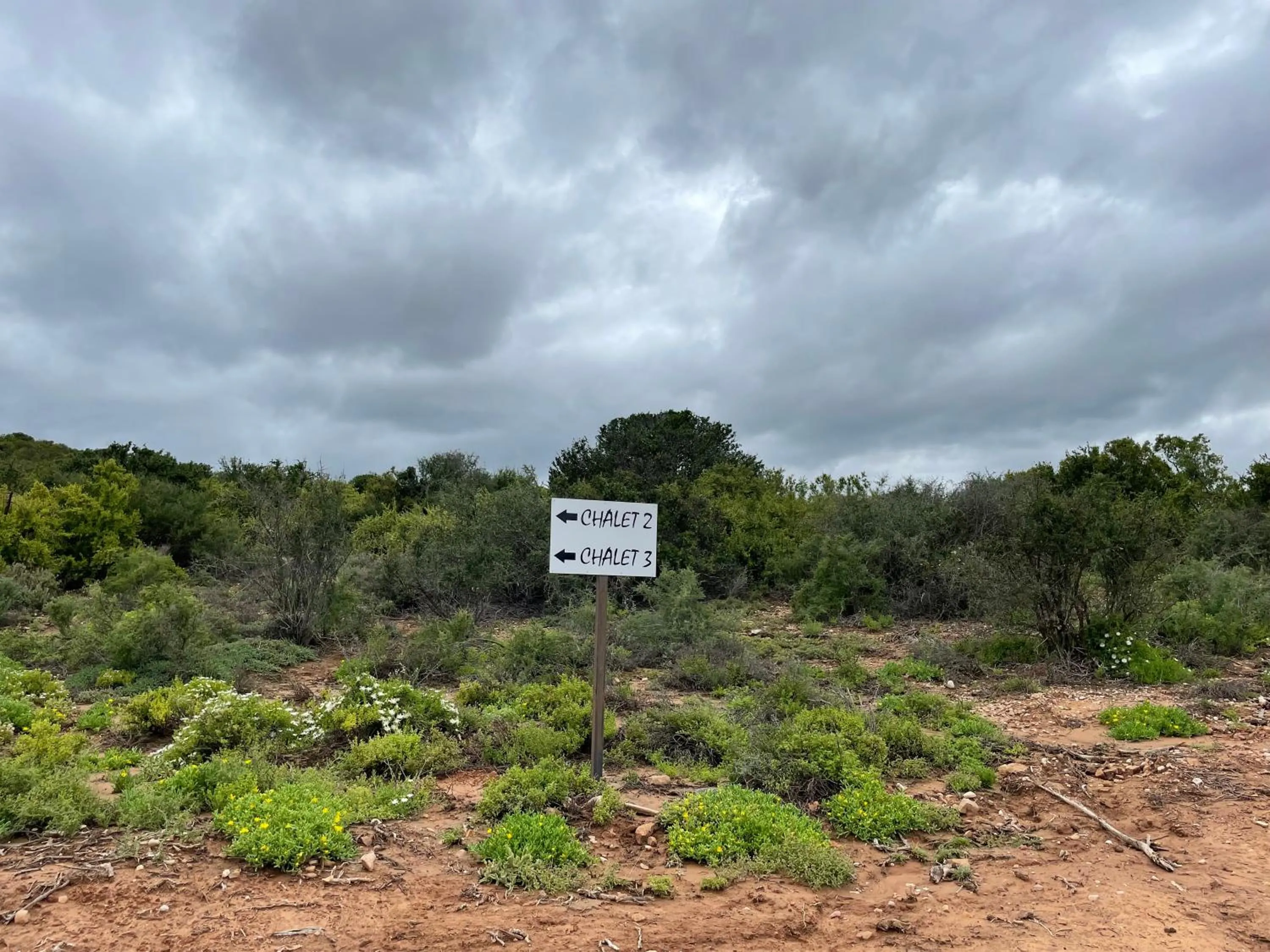 Natural landscape in Klein Karoo Game Lodge