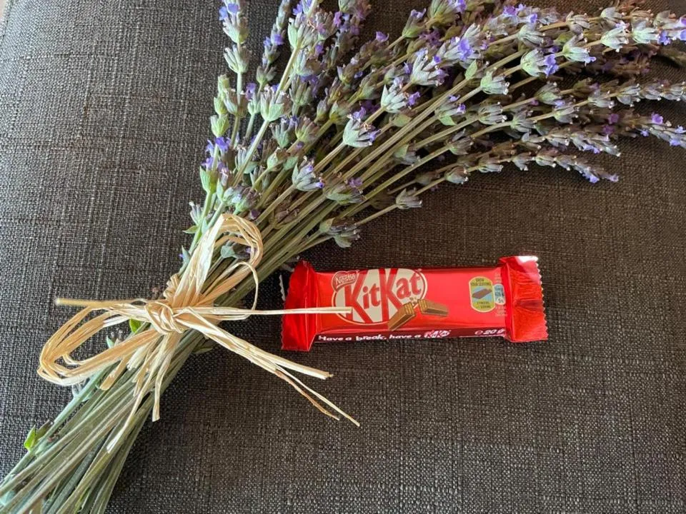 Decorative detail in Klein Karoo Game Lodge