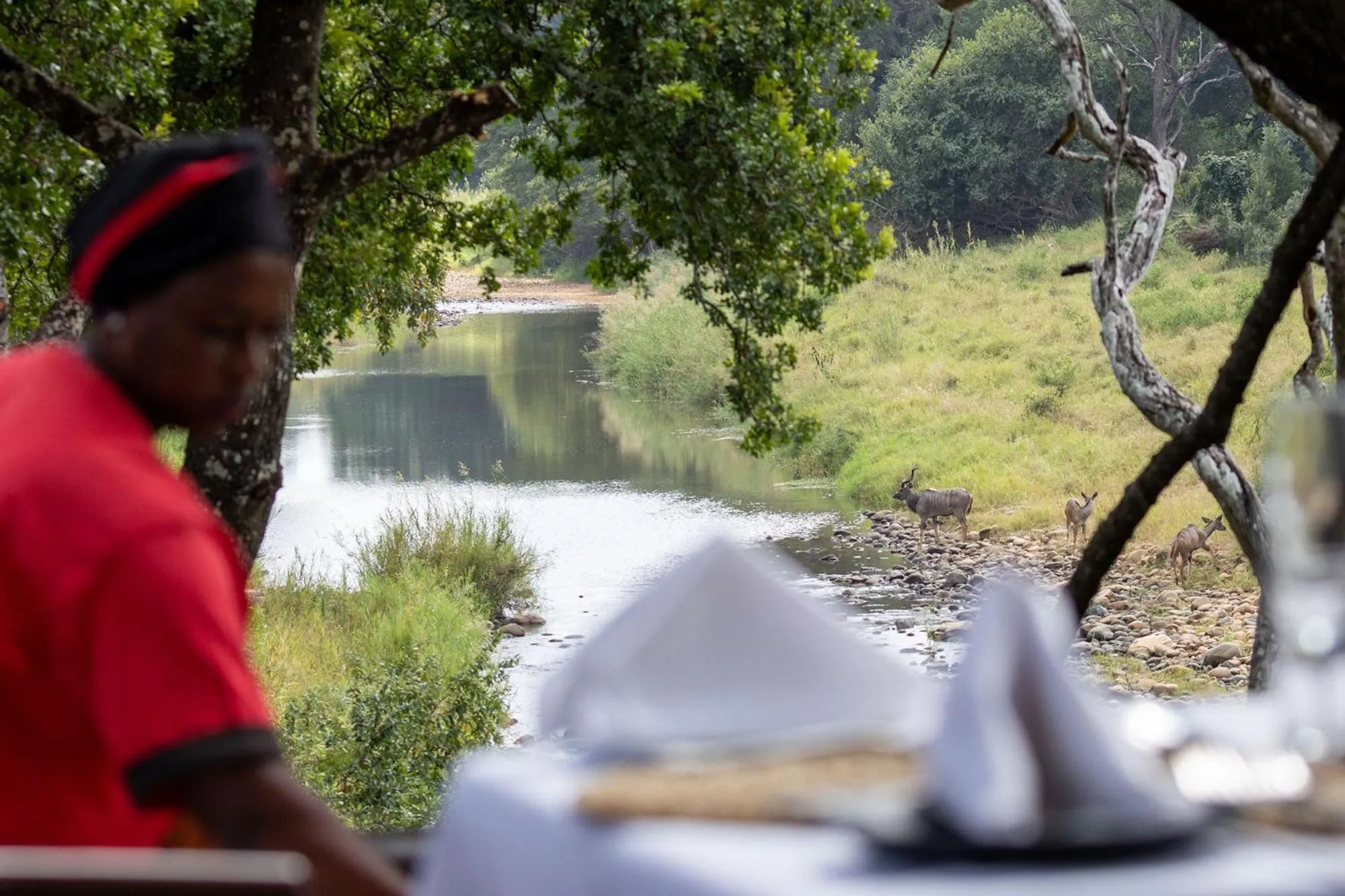 View (from property/room) in Karongwe - Becks Safari Lodge