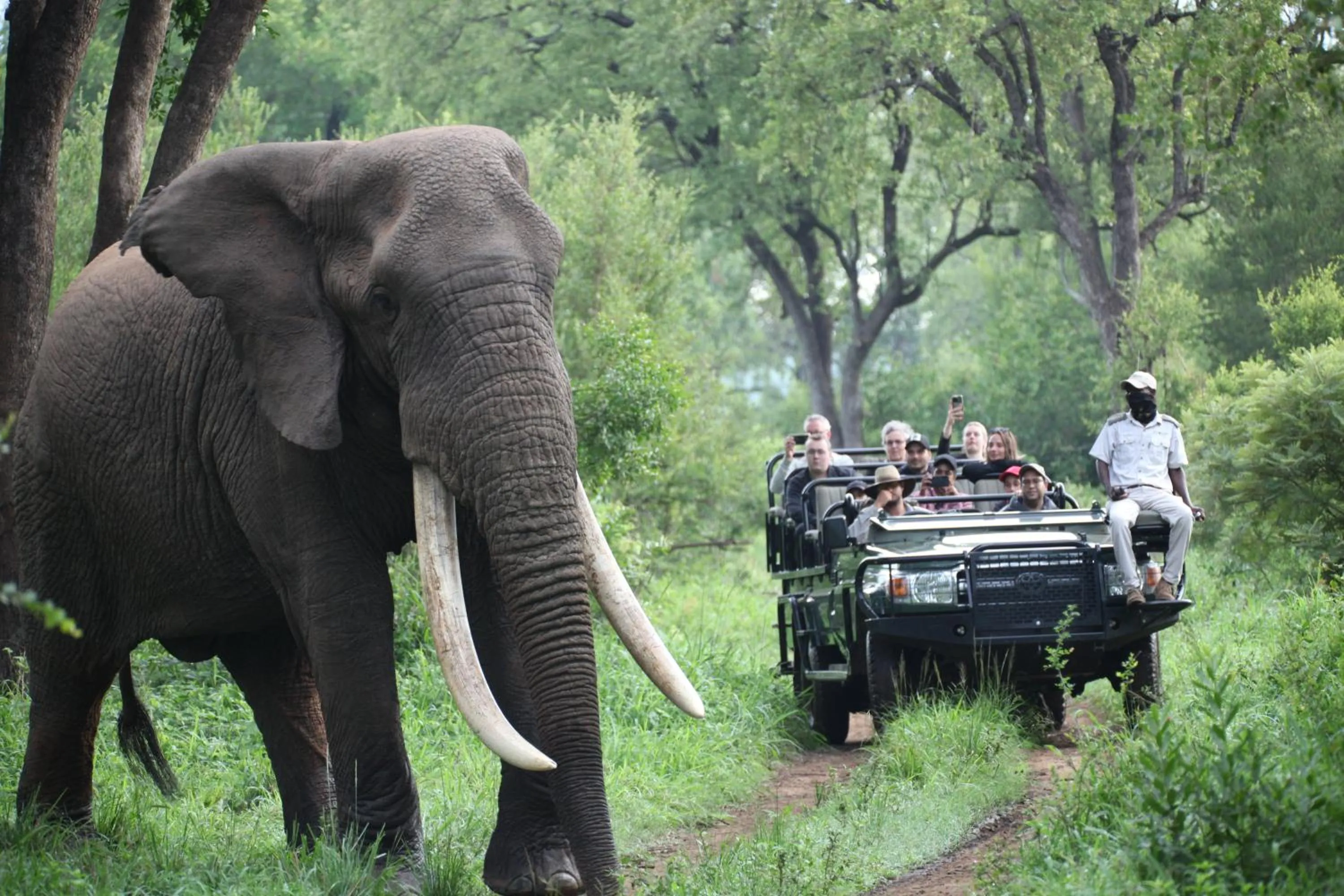 Property building in Karongwe - Becks Safari Lodge