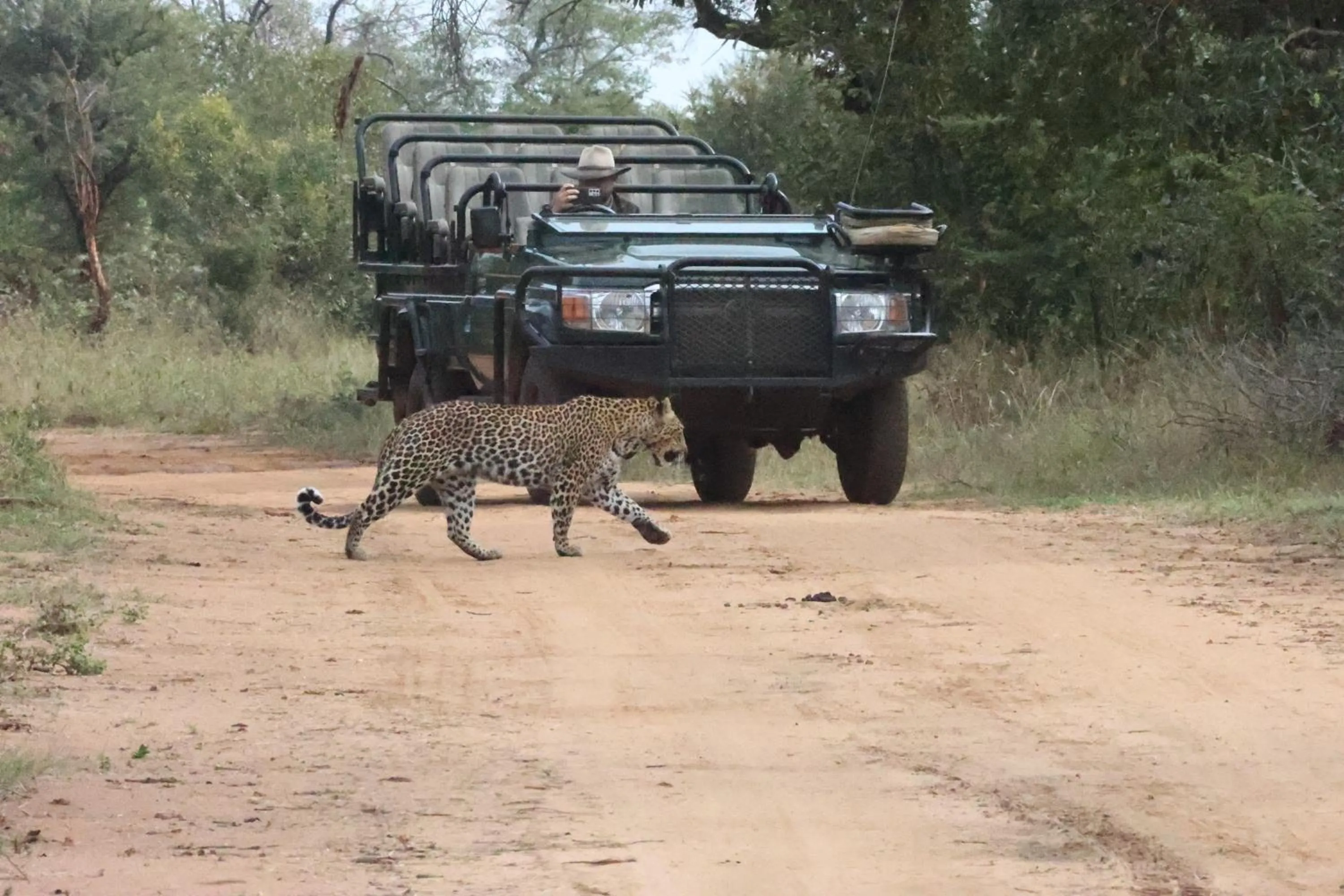 Activities in Karongwe - Becks Safari Lodge