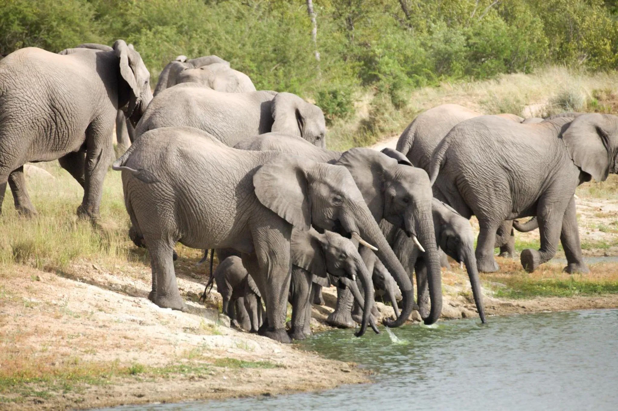 Activities in Karongwe - Becks Safari Lodge