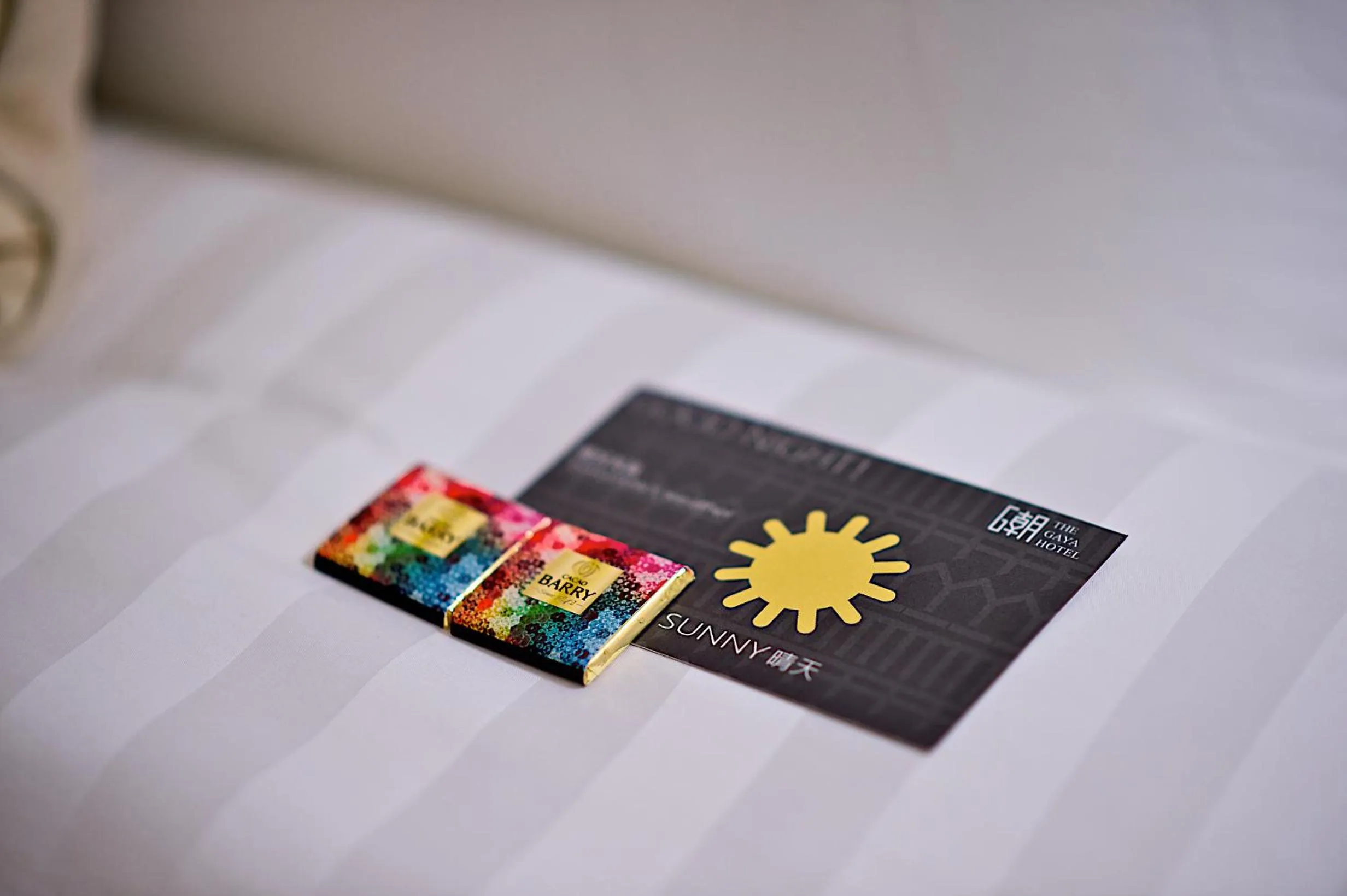 Area and facilities in The Gaya Hotel