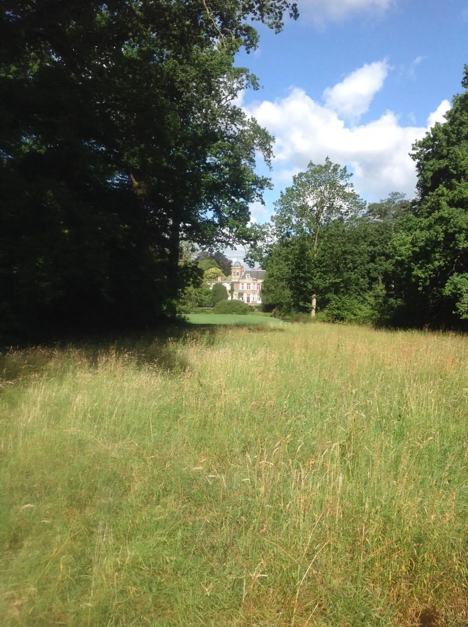 Natural landscape in de zanderij