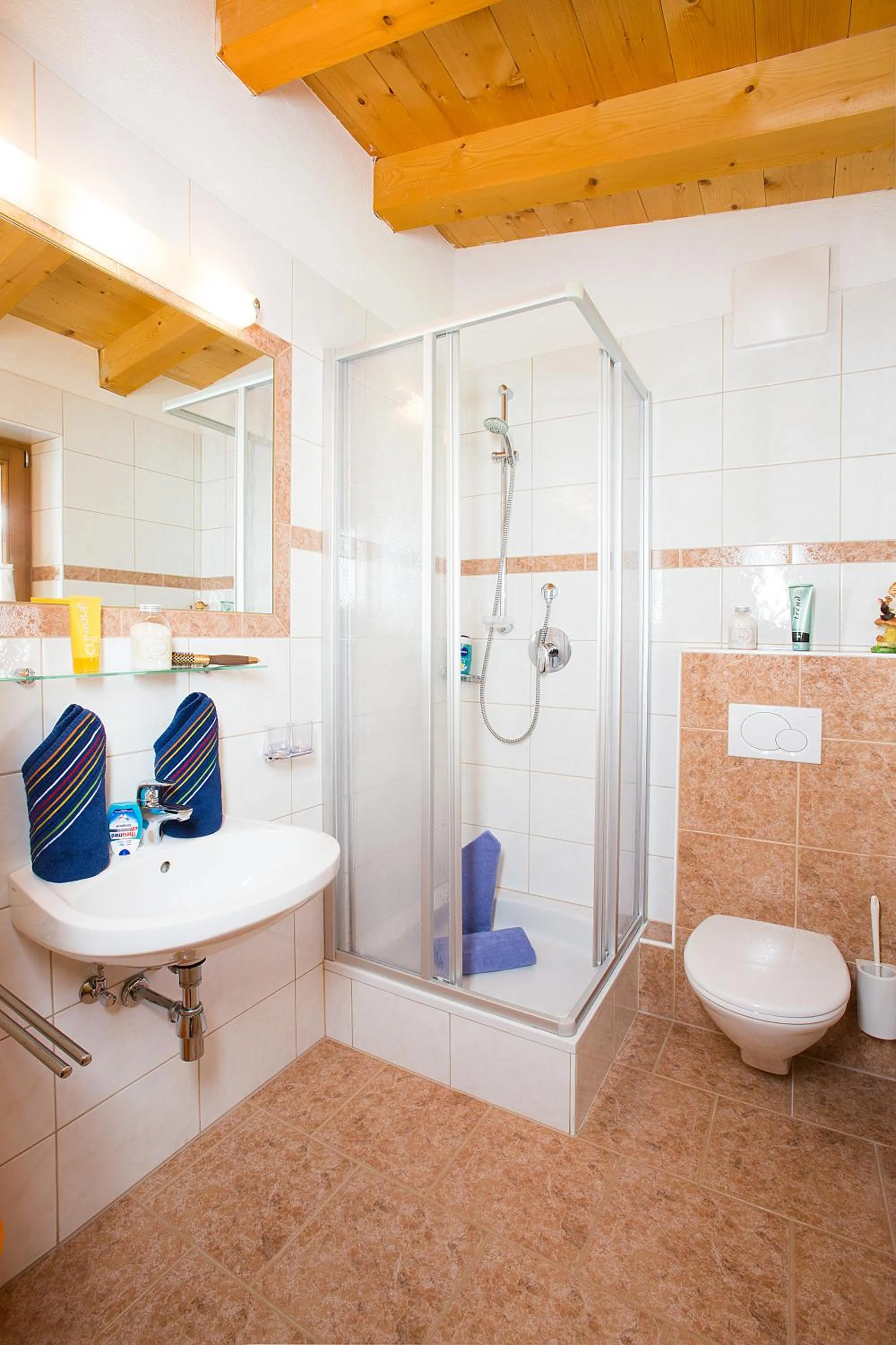 Bathroom in Haus Alois